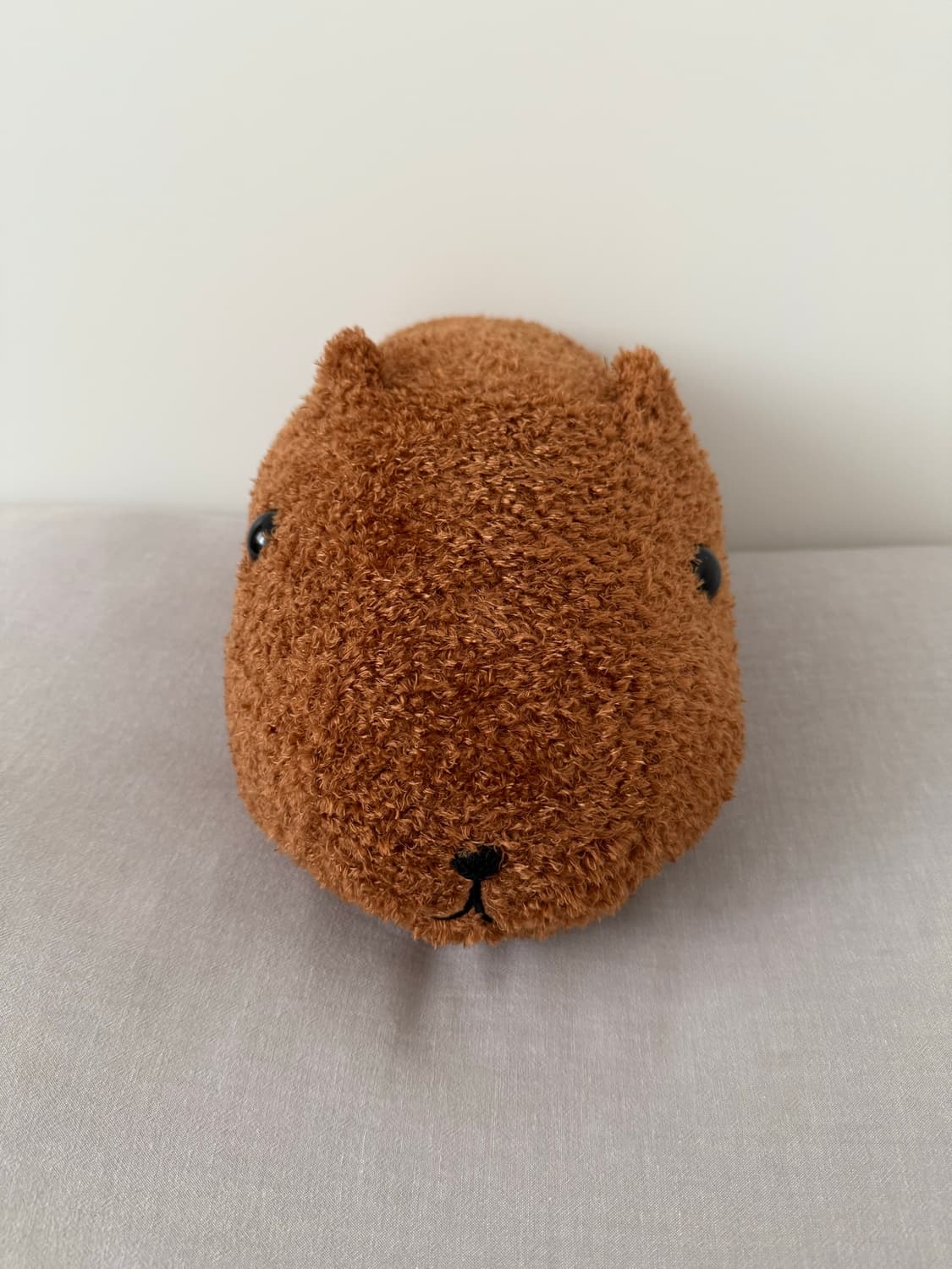 카피바라상 모훗토 30cm 인형 상품이미지2