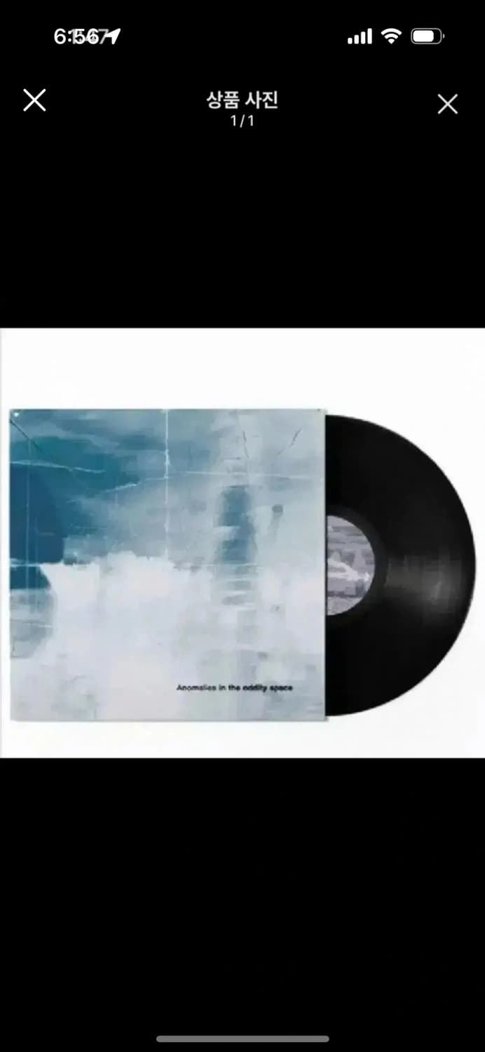 더폴스 LP 상품이미지1