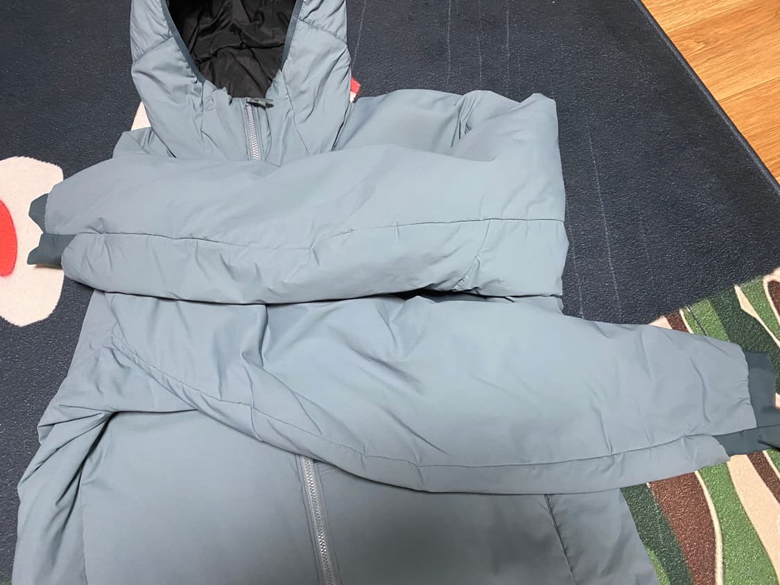 아크테릭스 프로톤lt L사이즈 상품이미지4