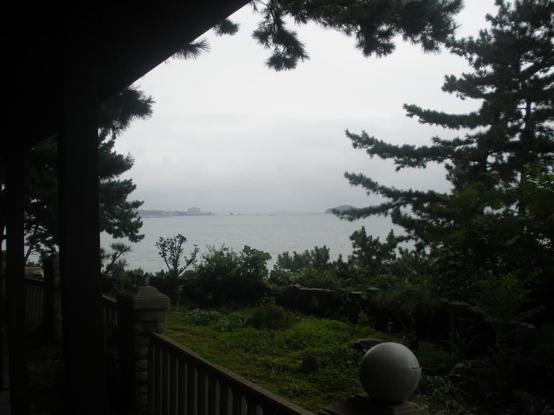 Olympus fe 340 상품이미지6