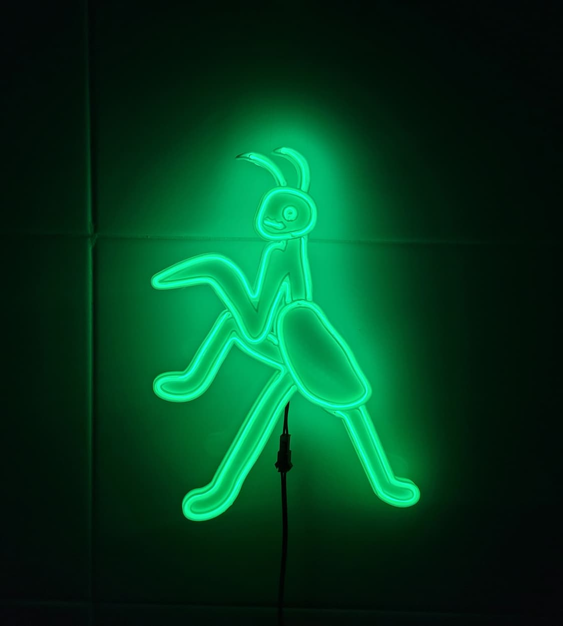 사마귀 네온사인 조명 led 램프 무드등 상품이미지2