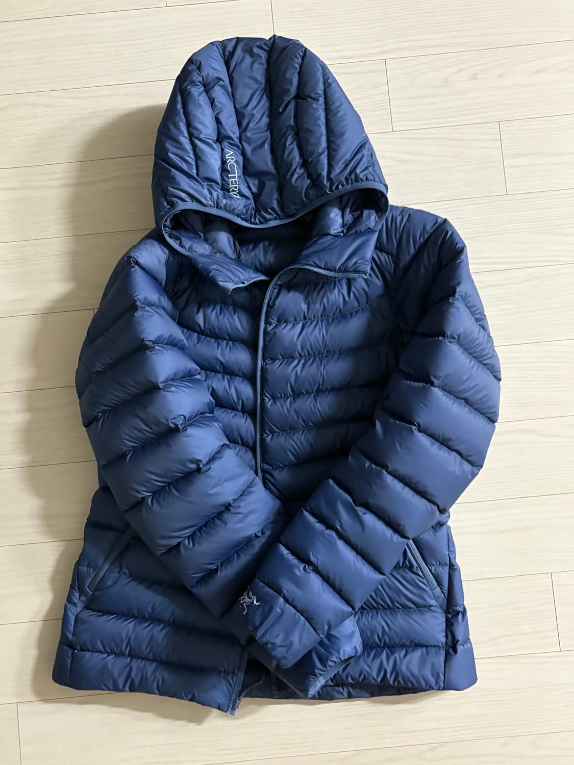 아크테릭스 세륨 후디 우먼 s 상품이미지1