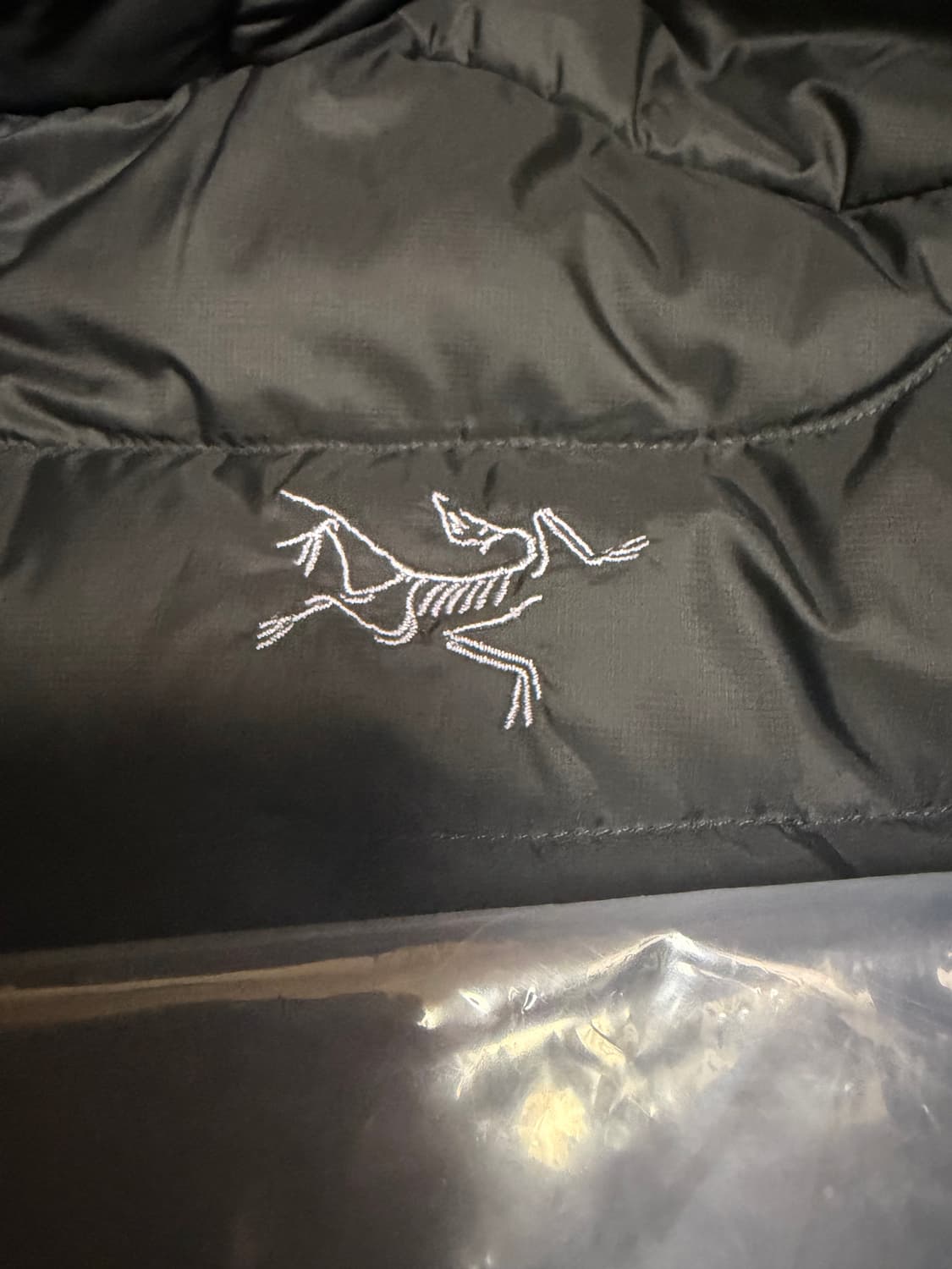 [M]아크테릭스 세륨 후디 블랙 상품이미지3