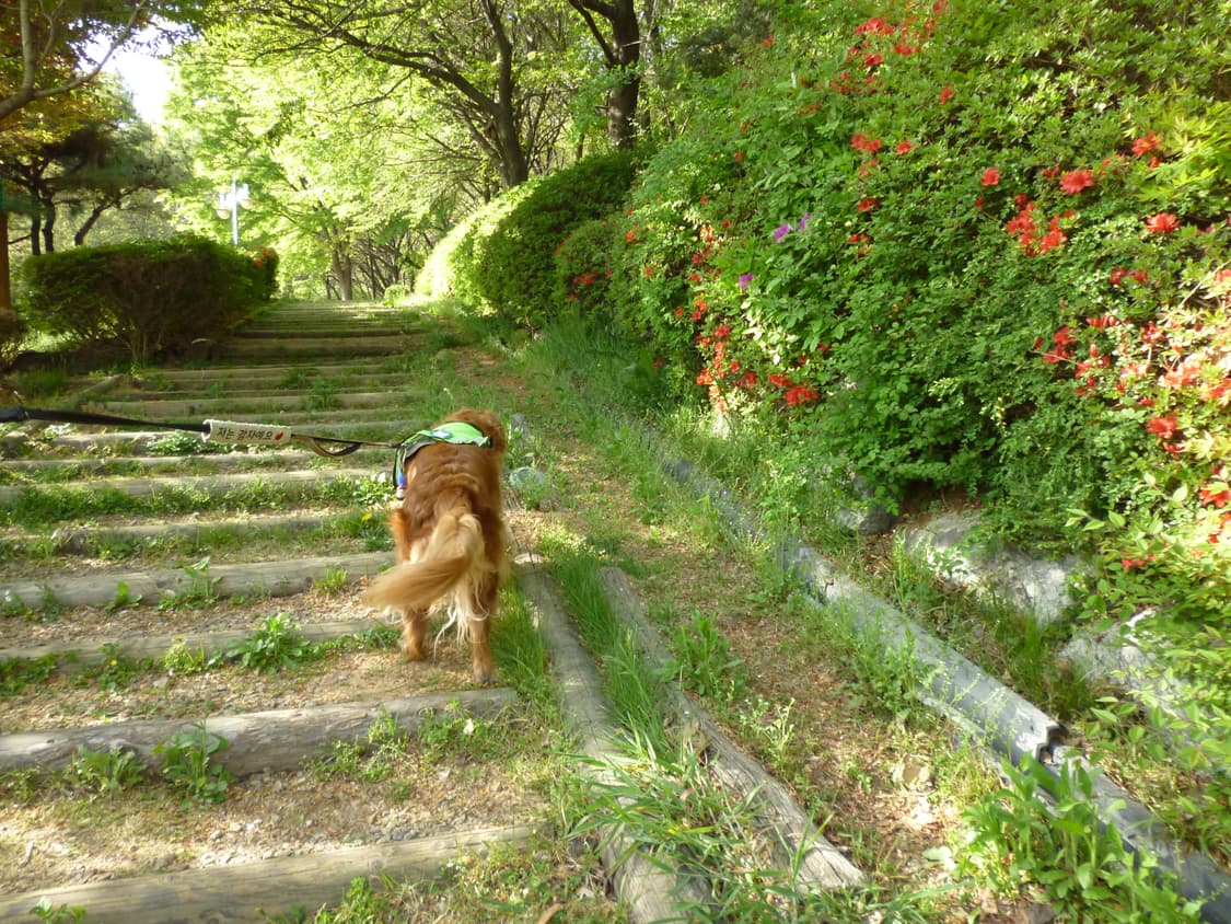 (츄디카/작례O) 파나소닉 루믹스 DMC-S1 빈티지 디카 상품이미지4