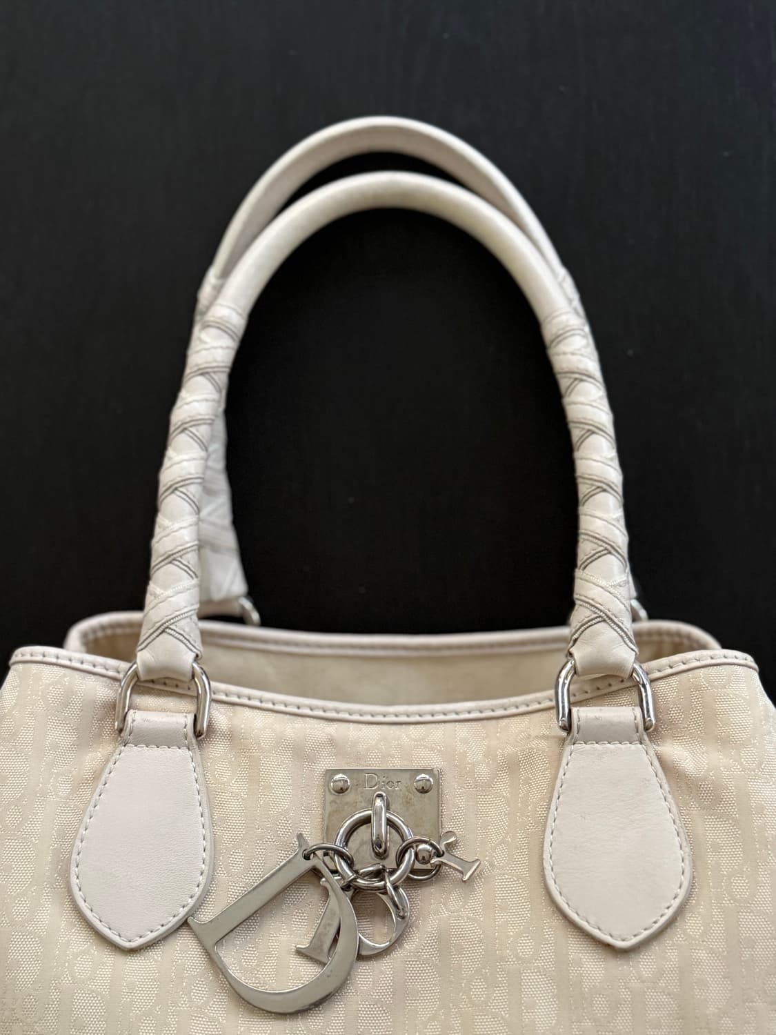 DIOR 디올 오블리크 디올리시모 토트백 상품이미지4