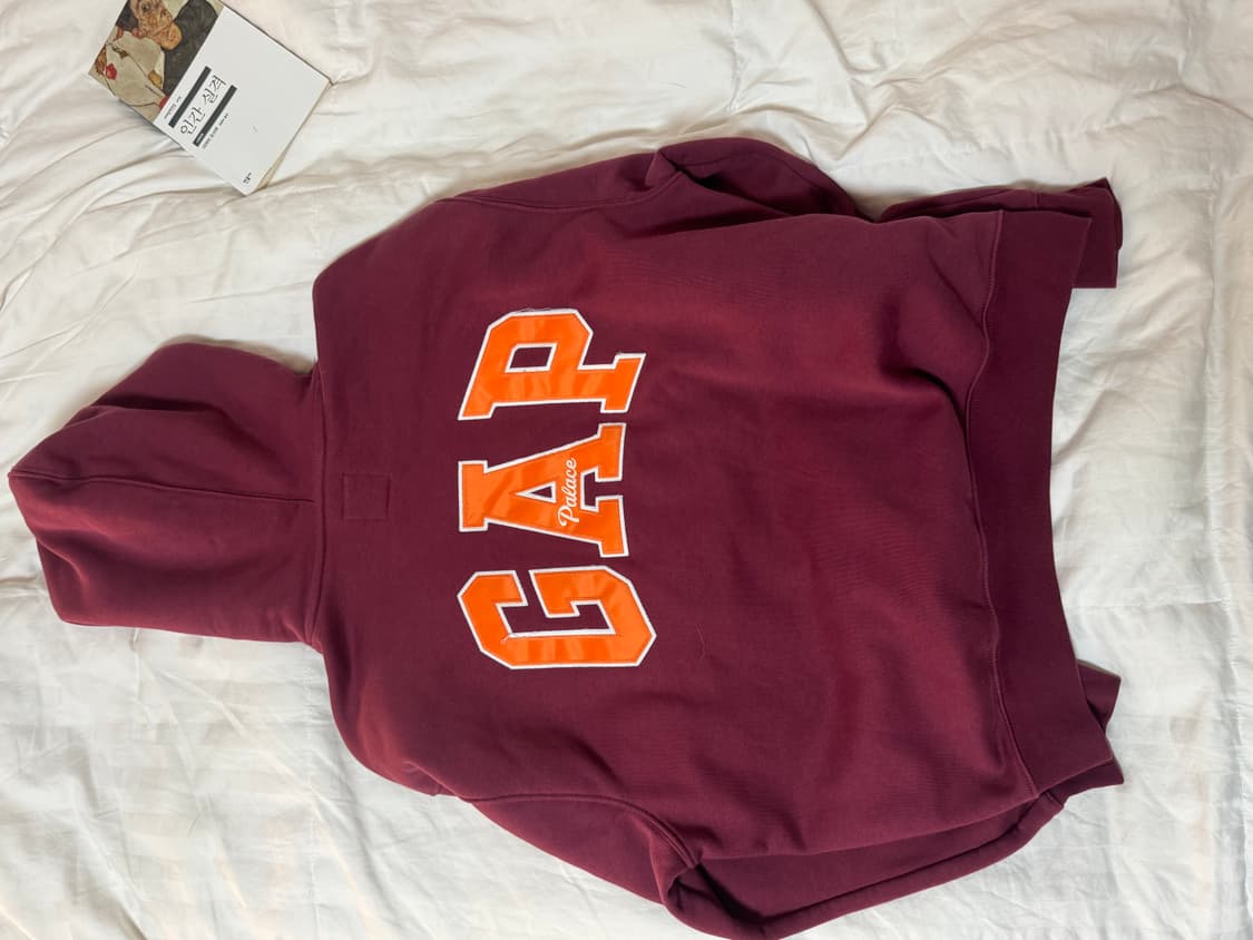 팔라스 갭 후드티 M 상품이미지2