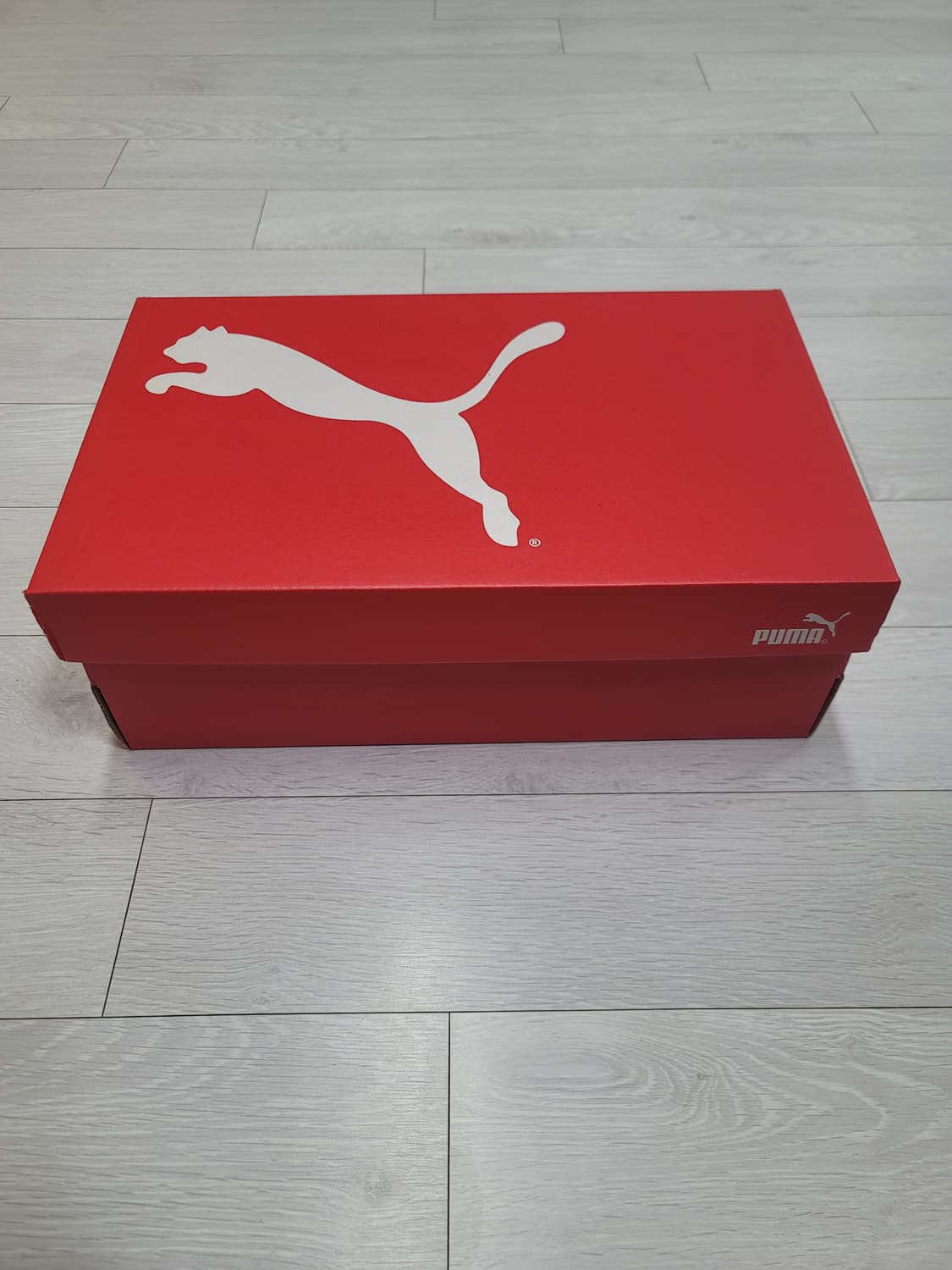 (275)푸마 풋살화 퓨처 7 플레이 TT[대전 직거래도 가능] 상품이미지2