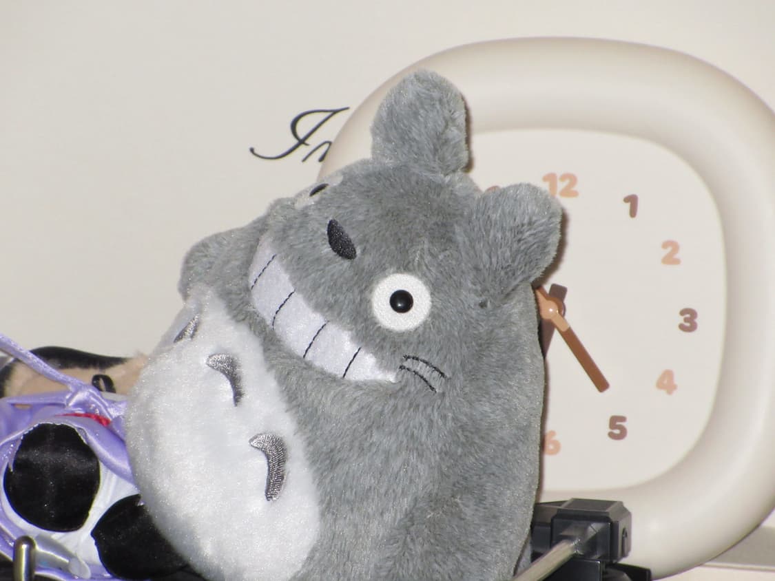 이채영, 차정원 디카 | 카시오 엑슬림 ex-z550 (sd카드 포함) 상품이미지7