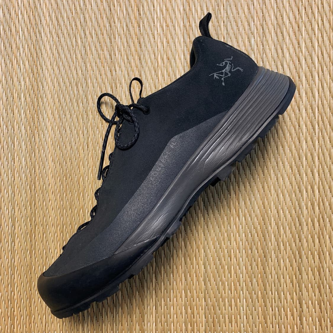 아크테릭스 컨실 FL2 레더 GTX (블랙) 상품이미지3