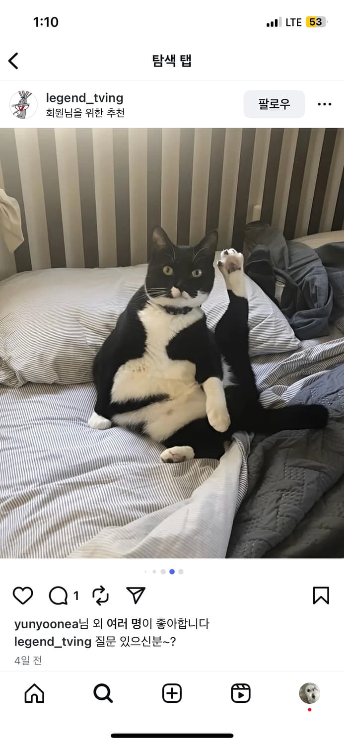 전용 결제창 상품이미지1