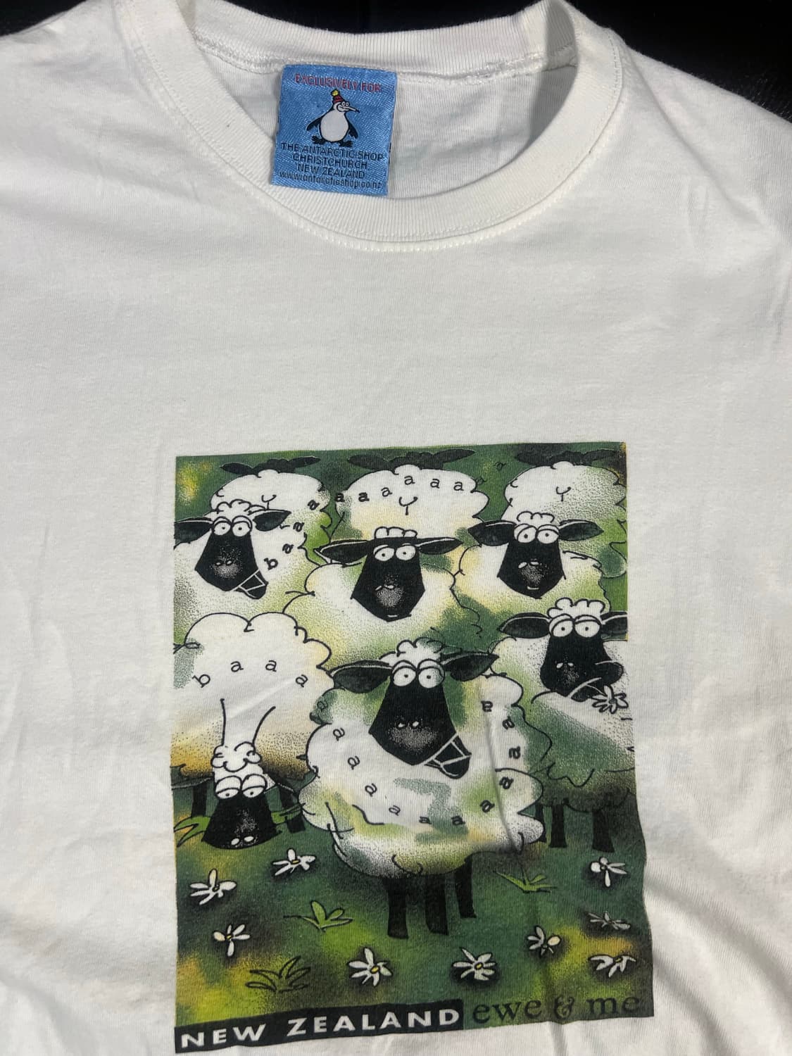 Made in 뉴질랜드  양 반팔 상품이미지2