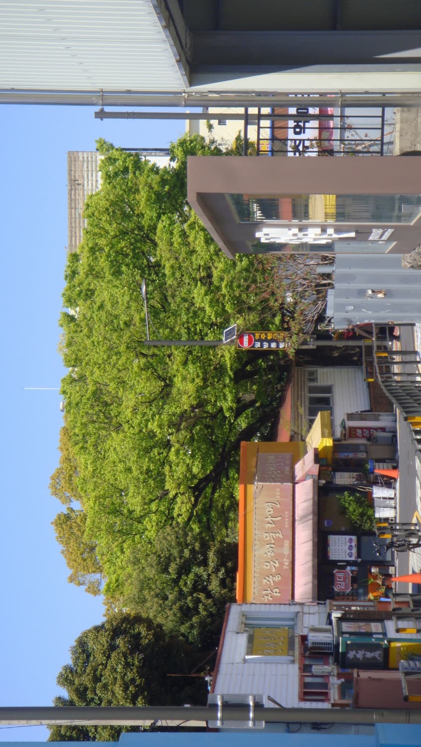 Sony cybershot DSC-T700 상품이미지3