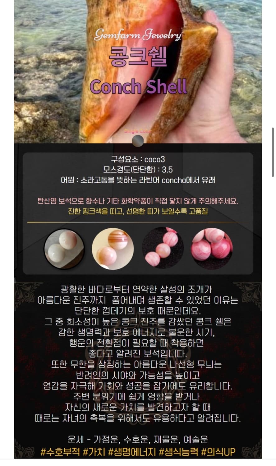 콩크쉘까메오 상품이미지9