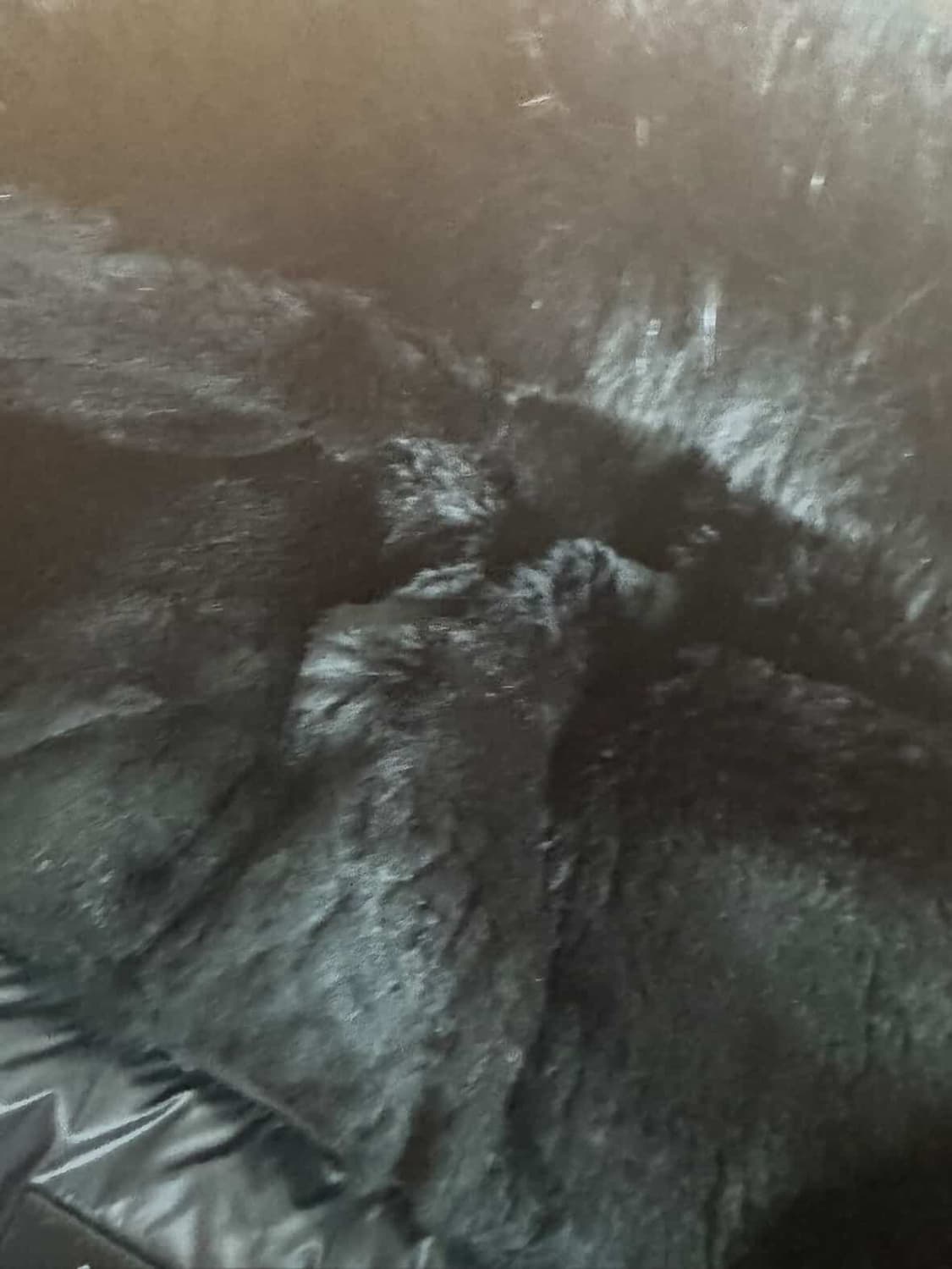 멕케이지 딕슨 상품이미지3