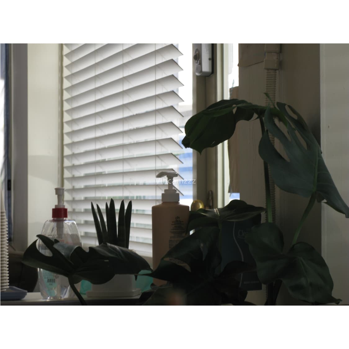 [모모 디카] Canon 캐논 powershot 파워샷 A650is 상품이미지6