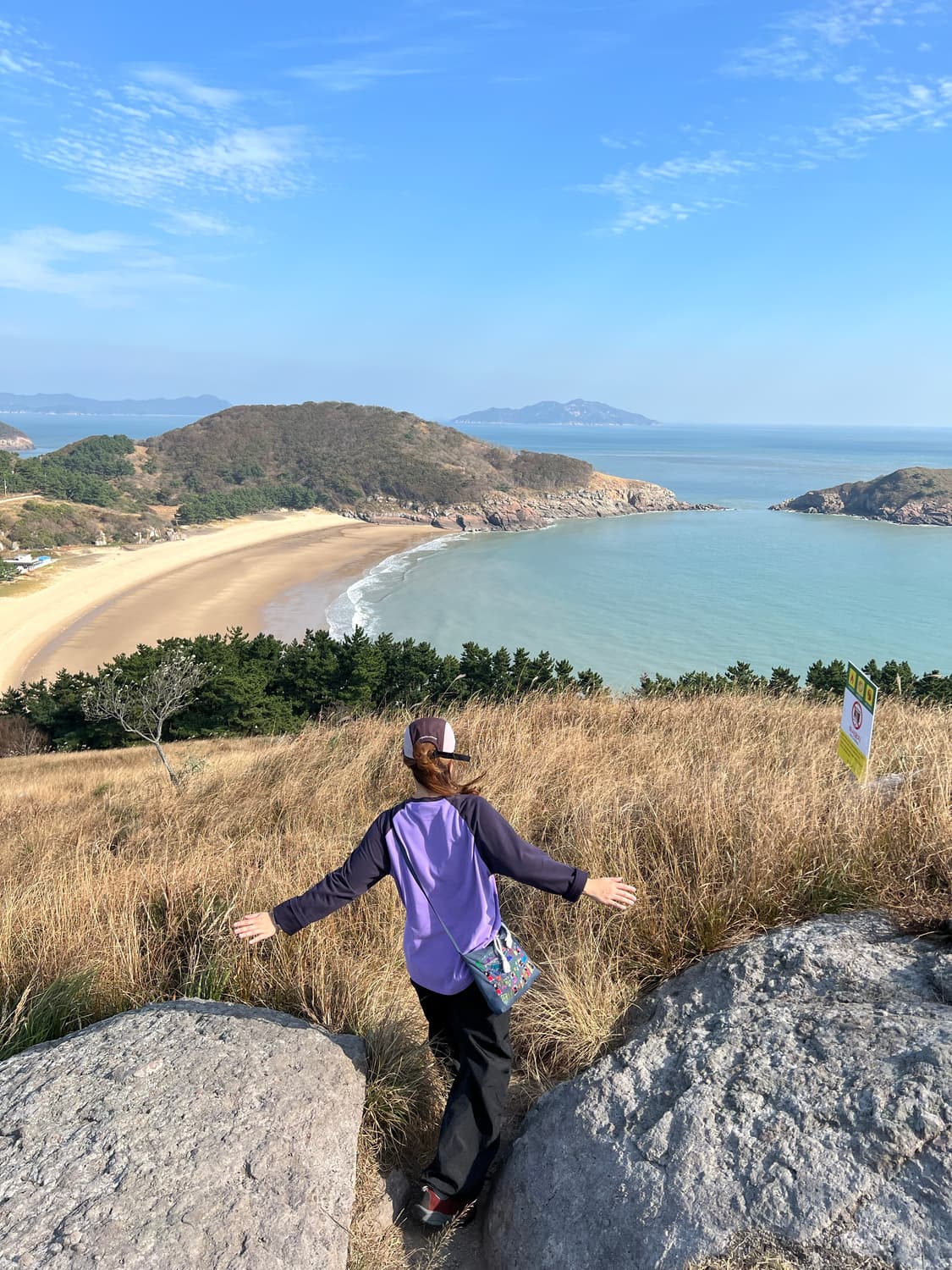 (국내미발매) (새상품) 아디컬러 JM8051 아디다스 티셔츠 M사이즈 상품이미지4