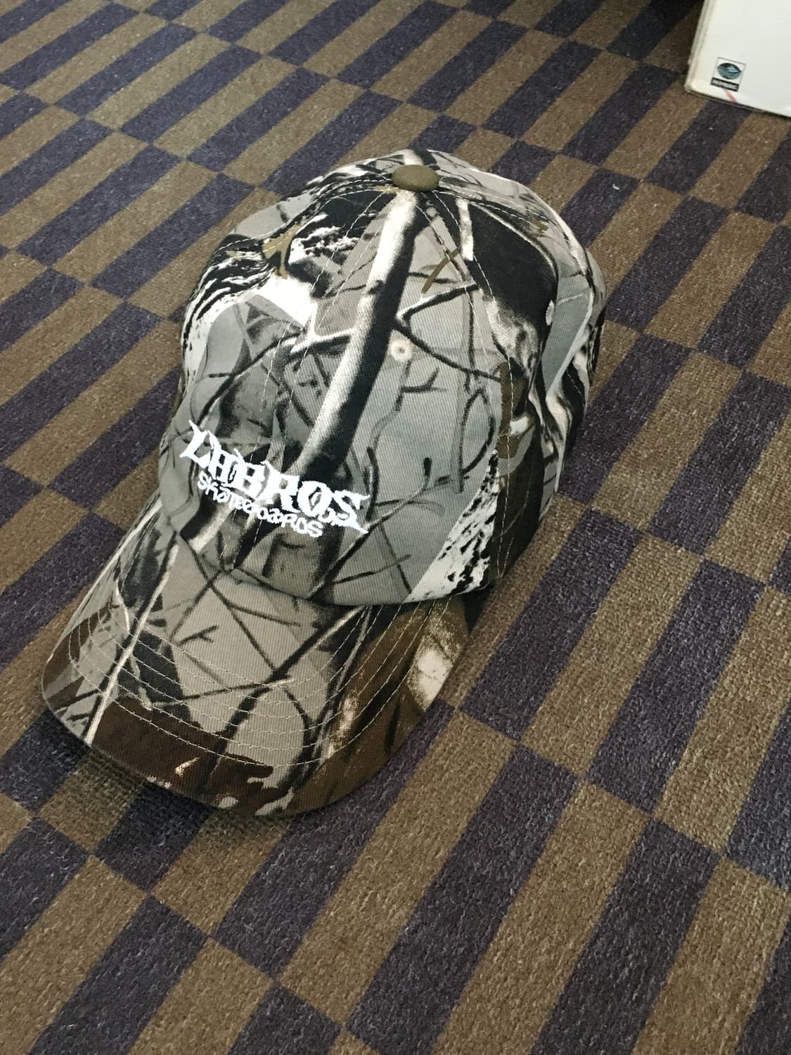 Labros-Skate Logo cap (Autumn tree camo) 상품이미지1
