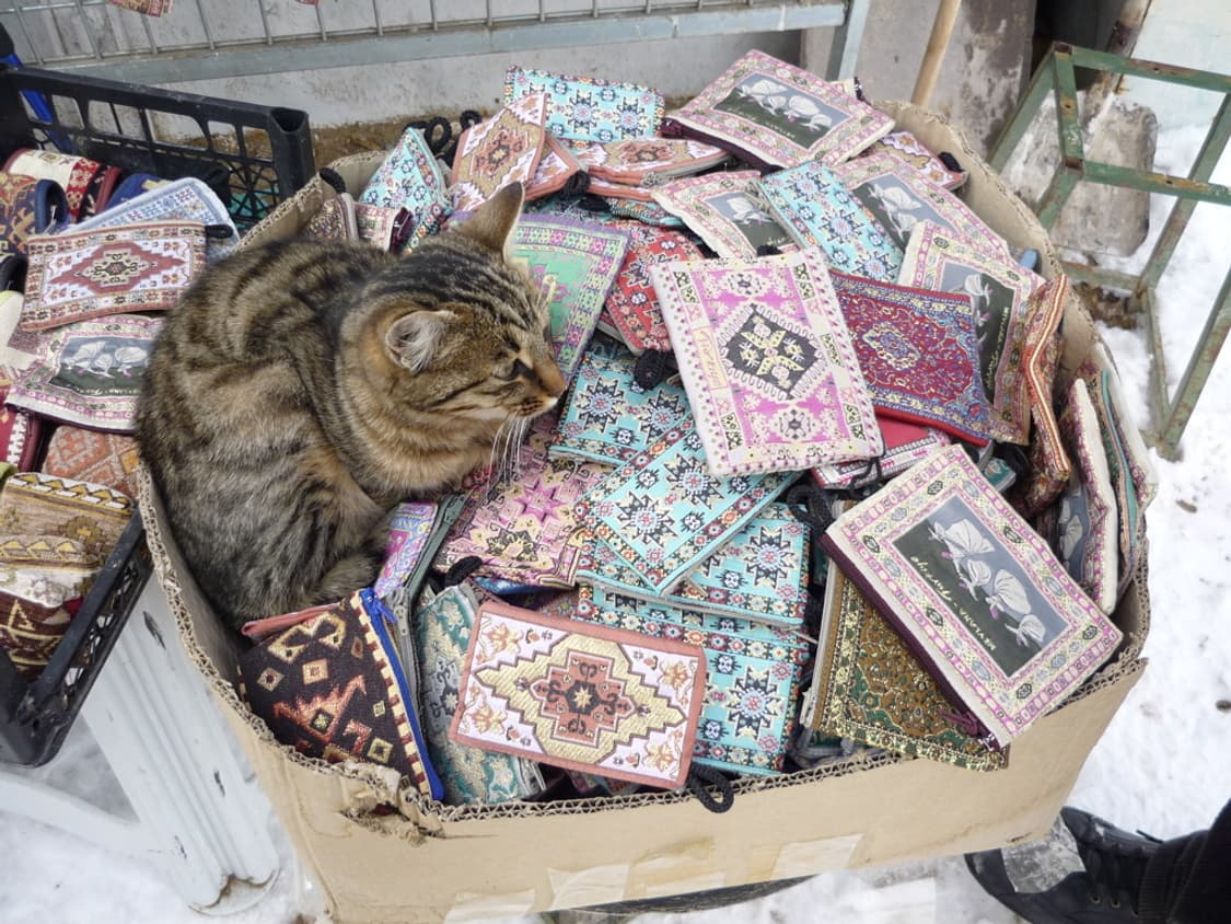 올림푸스 Olympus SP-320 그레이 상품이미지3