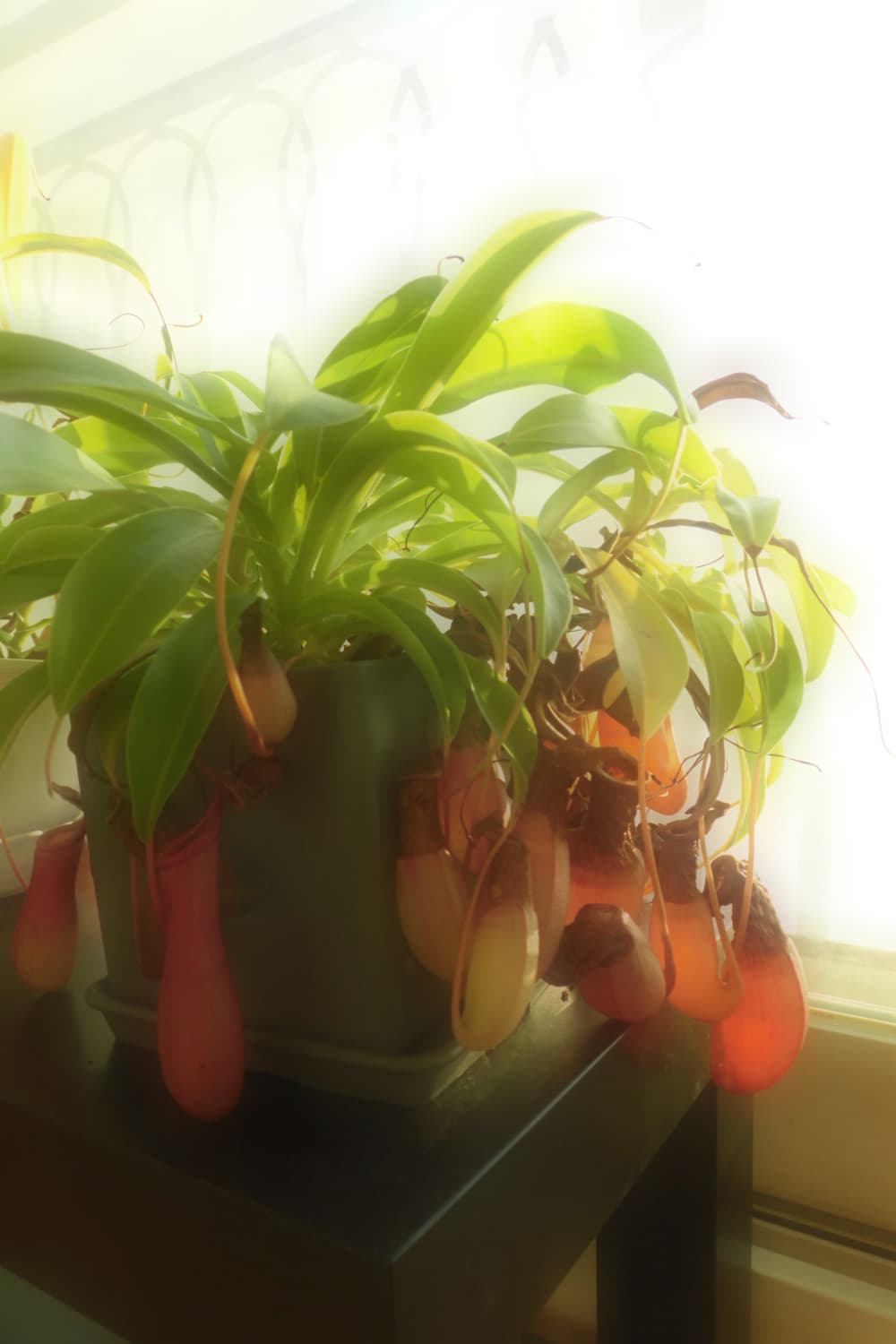 카시오 EXILIM EX-ZS180 / 메이크업모드 상품이미지7