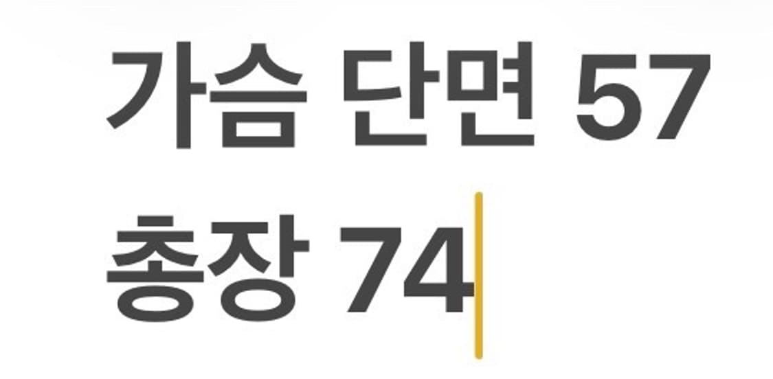 [정품/M] 아크테릭스 블랙  피션 sv b18 상품이미지8