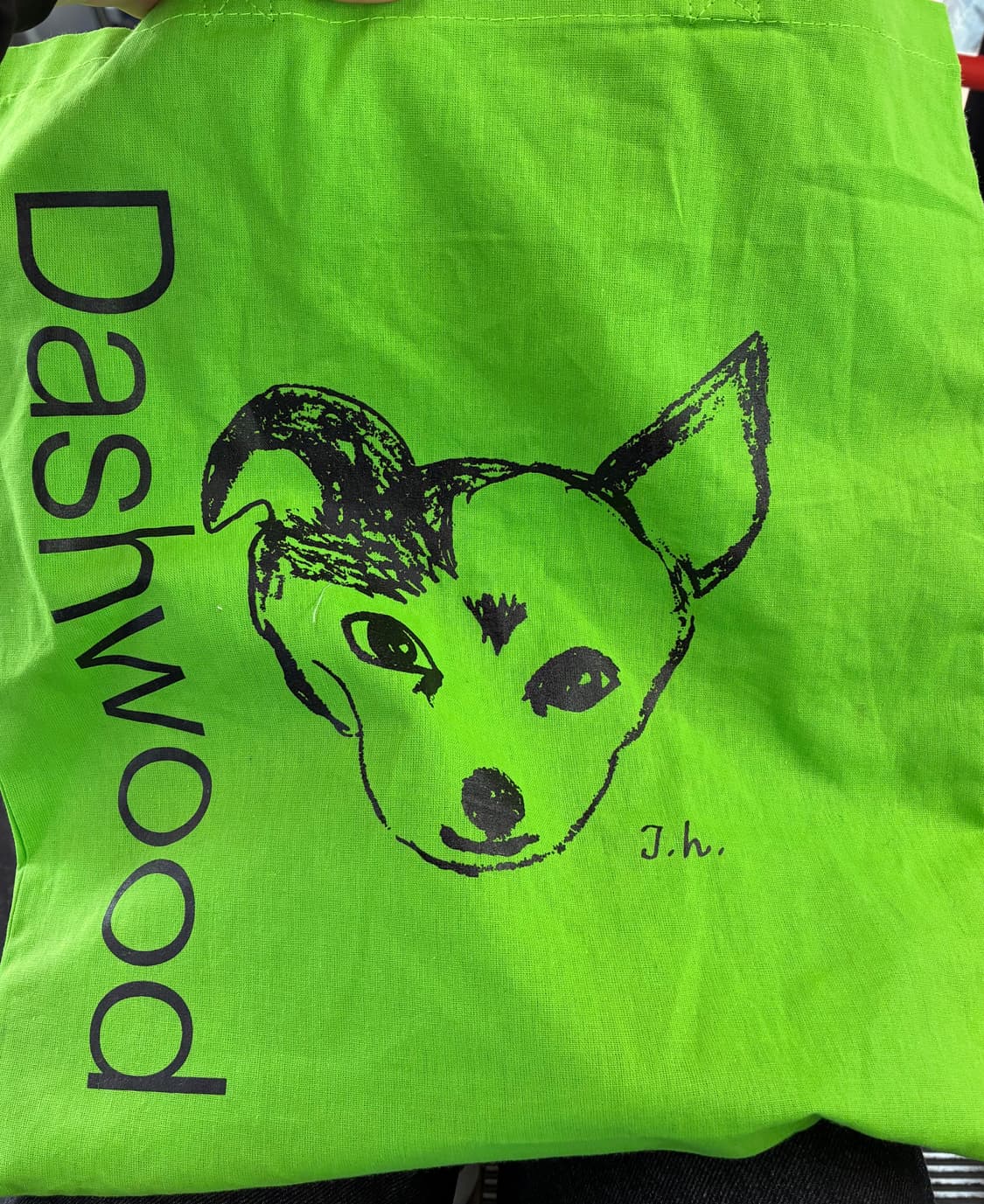 dashwoodboooks 에코백 그린 컬러 상품이미지3