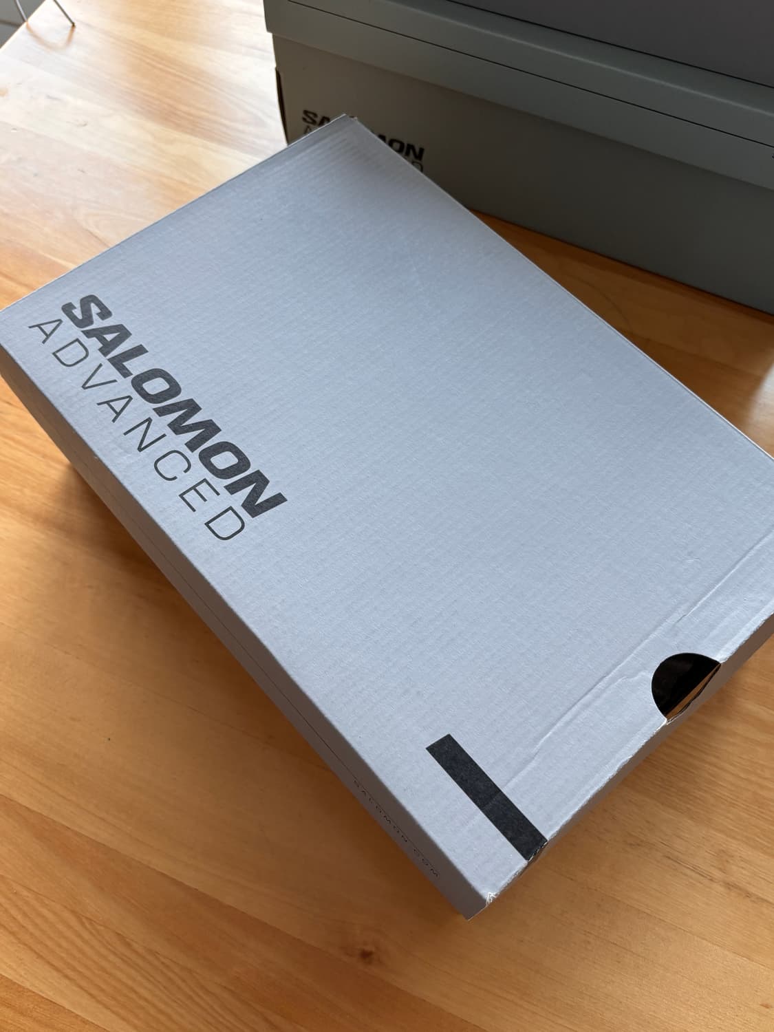 Salomon Pulsar Advanced Vanilla Ice 290 상품이미지8