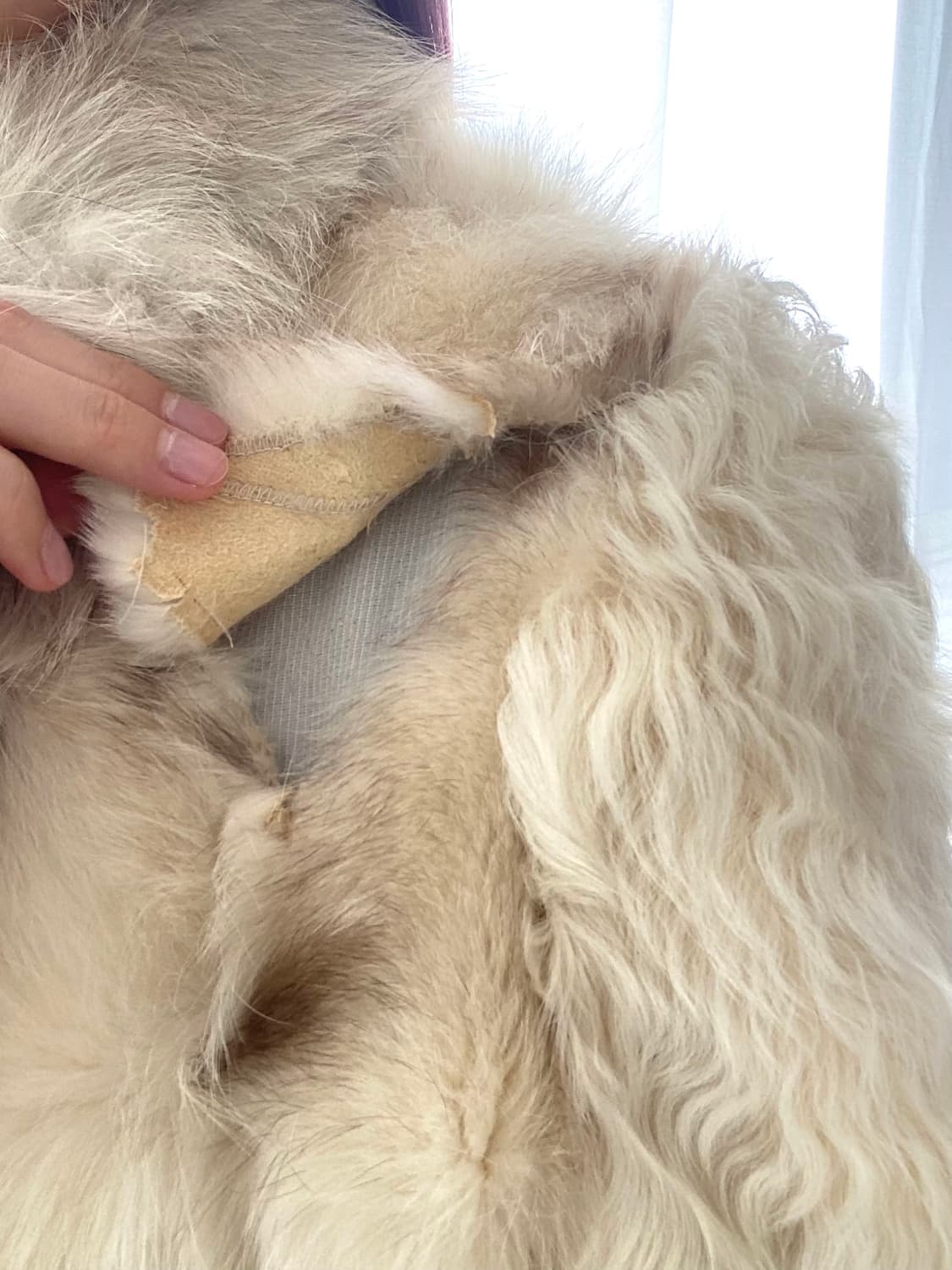 리얼 폭스퍼 양털 양가죽 퍼자켓 상품이미지9