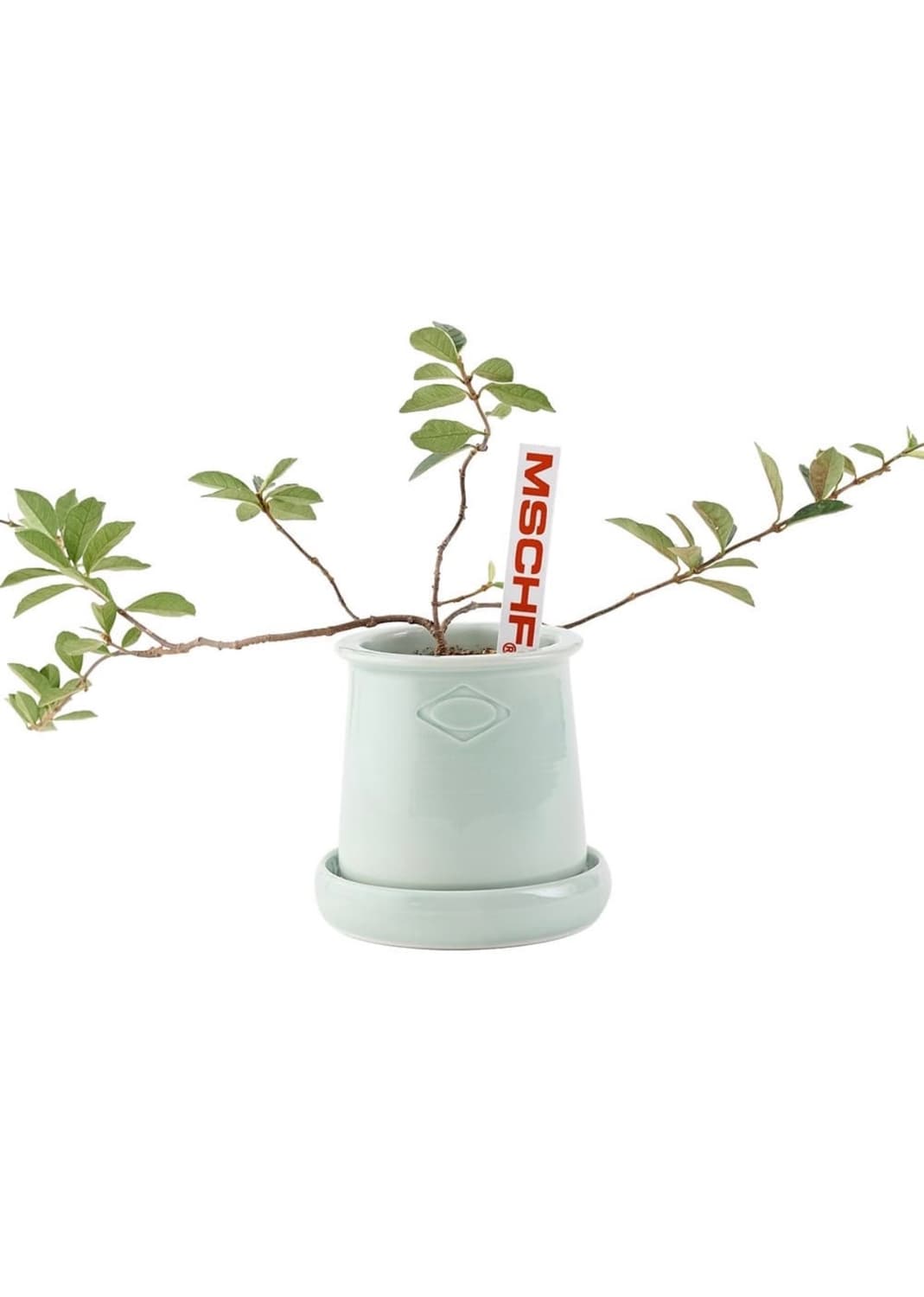 미스치프 X Feu 화분 Honey pot (Jade) 상품이미지1