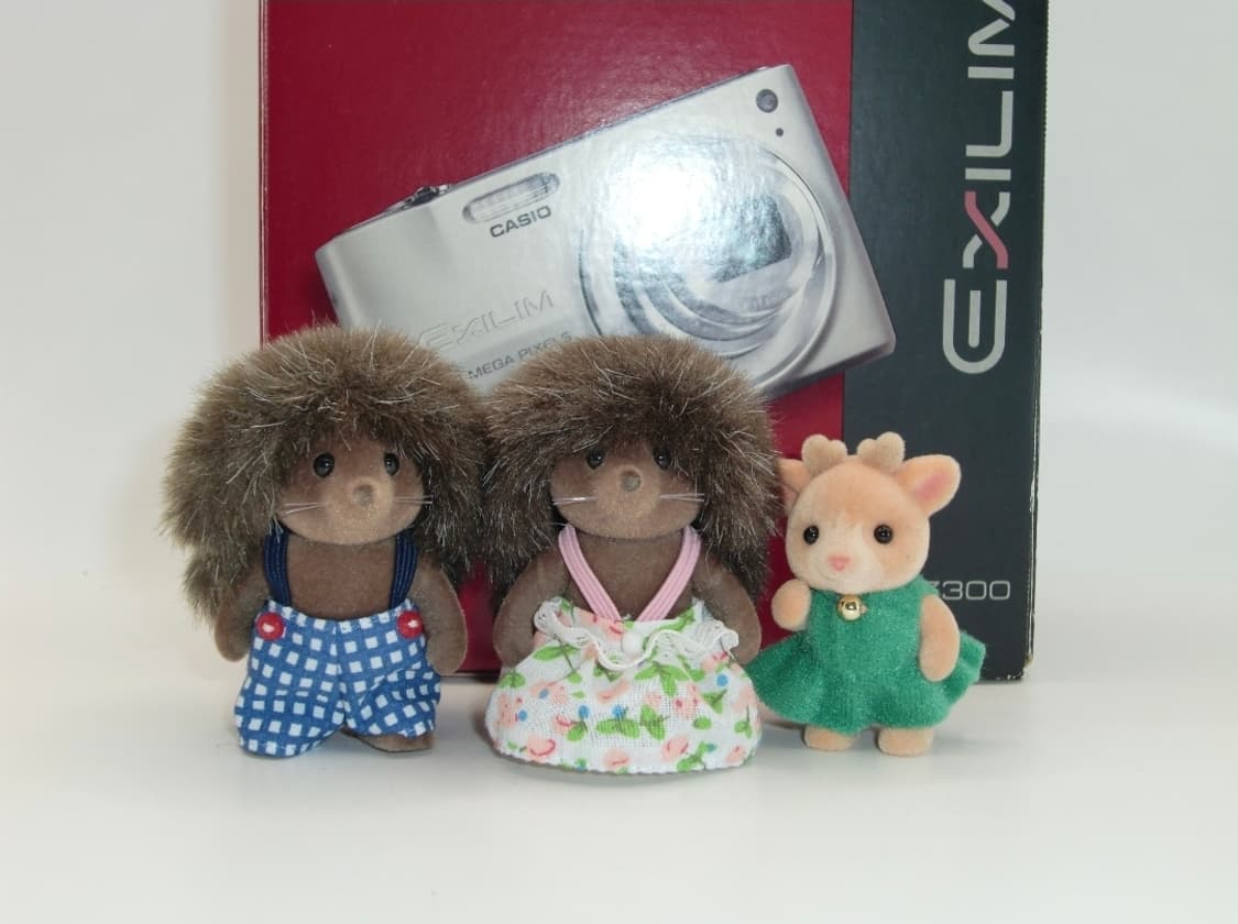 풀박✨️메이크업모드 🍑귀여운 연핑크 💕 Casio EX-Z300 상품이미지7