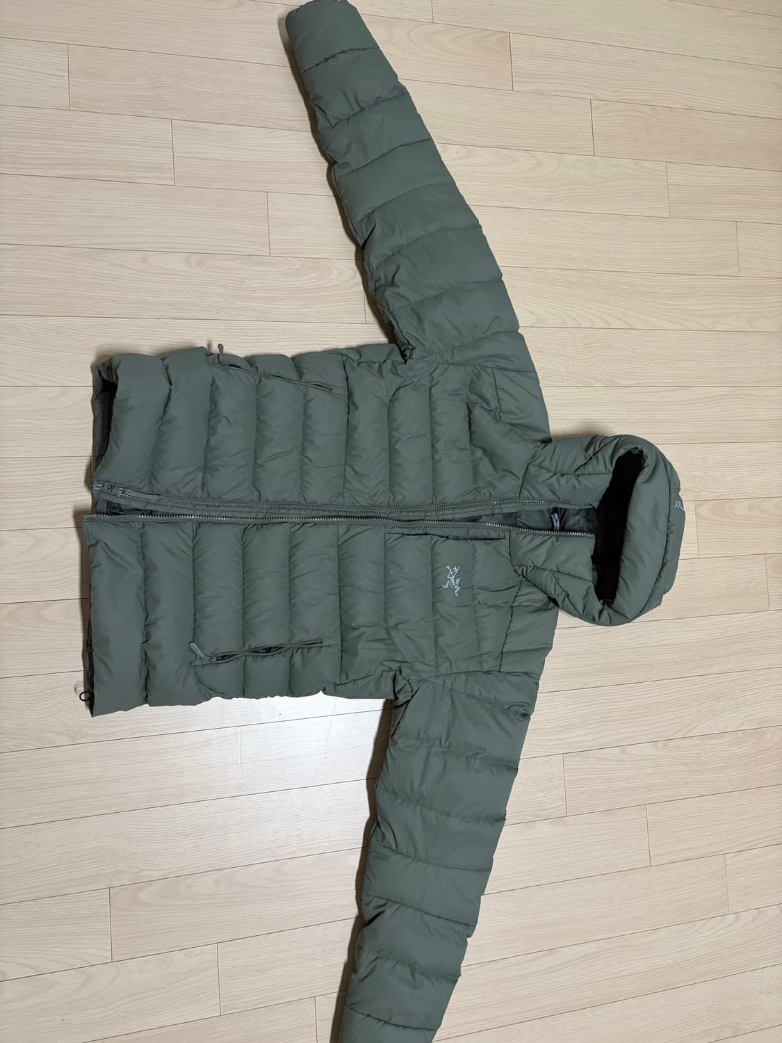 아크테릭스 토륨 포리지s 상품이미지1