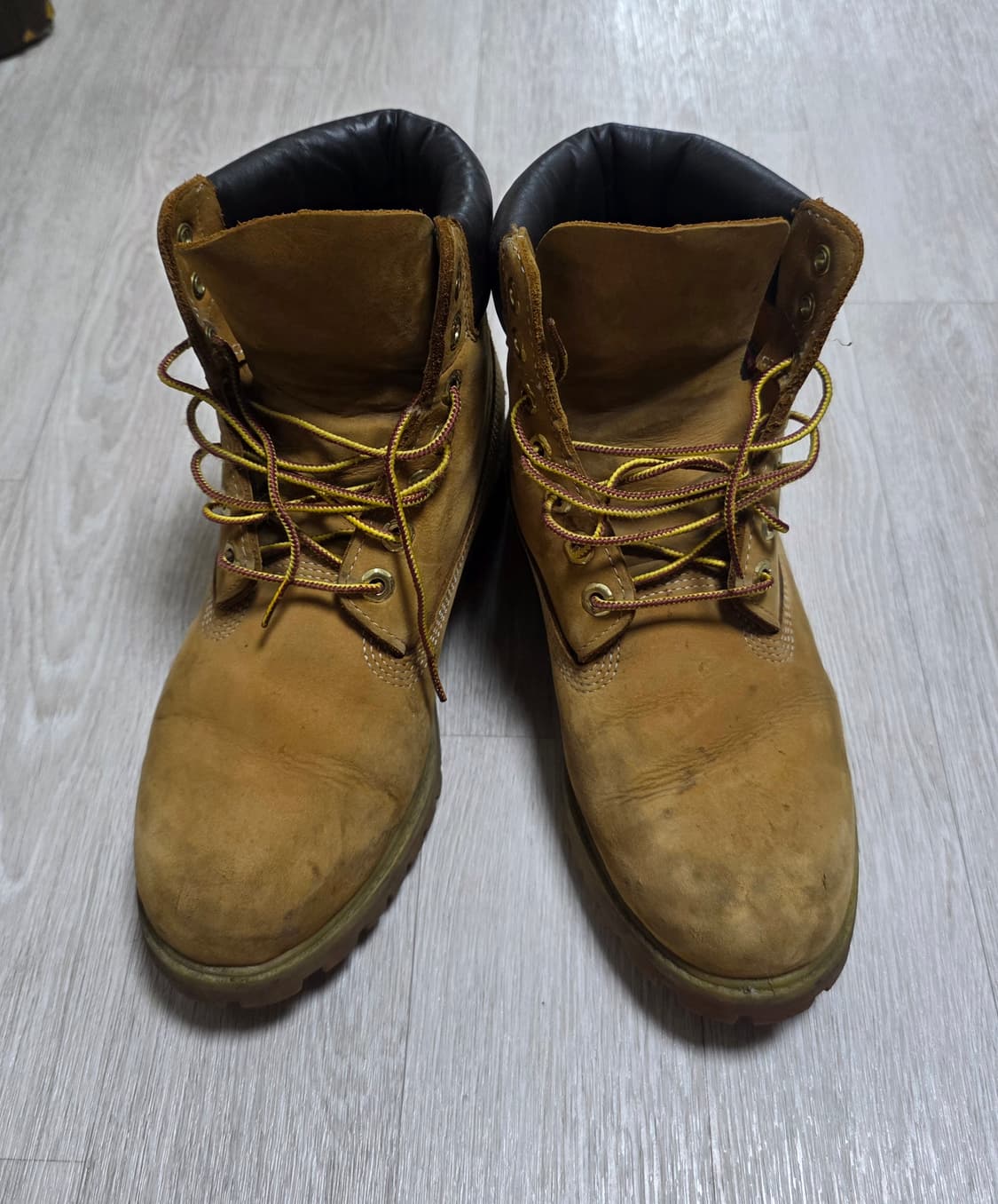 [260~265]팀버랜드 6인치 워터프루프 프리미엄 부츠 상품이미지1