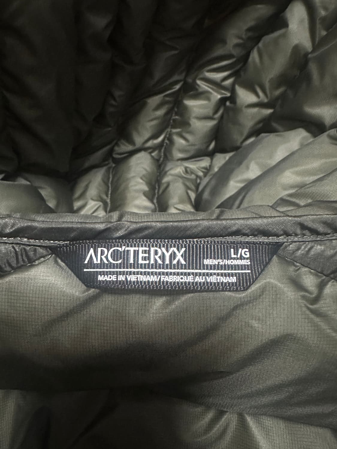 아크테릭스 세륨 후디 포리지 베르베 L 상품이미지4