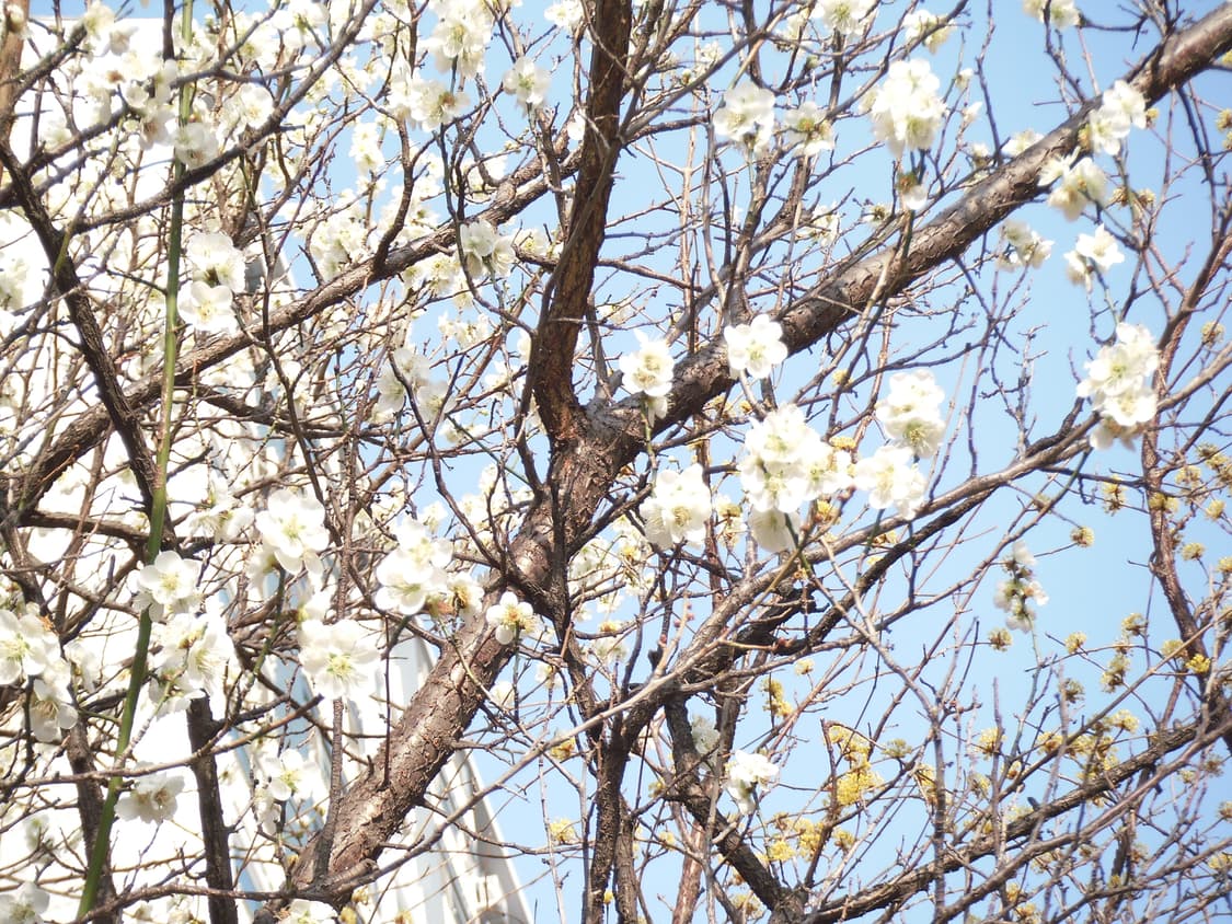 후지필름 파인픽스 z300 fujifilm FinePix Z300 상품이미지5