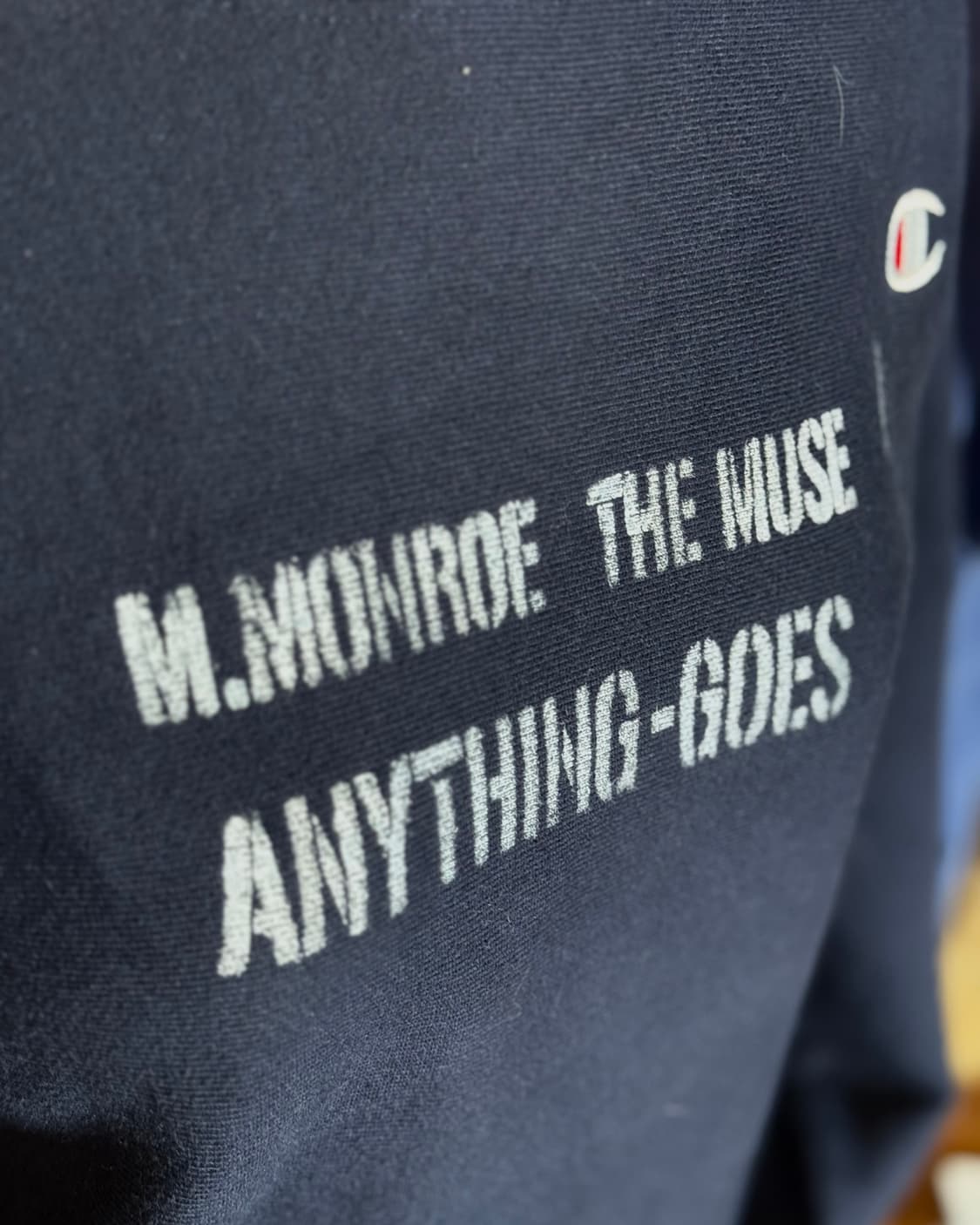 챔피온 리버스위브 애니띵고우즈 스텐실 로고 스웻셔츠 M 상품이미지8