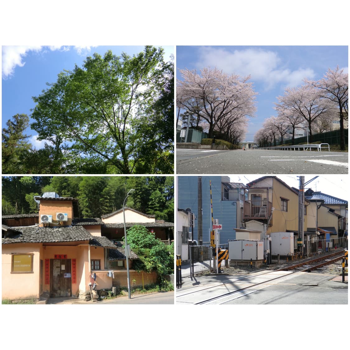 카시오 엑슬림 H15 실버 빈티지디카 상품이미지2