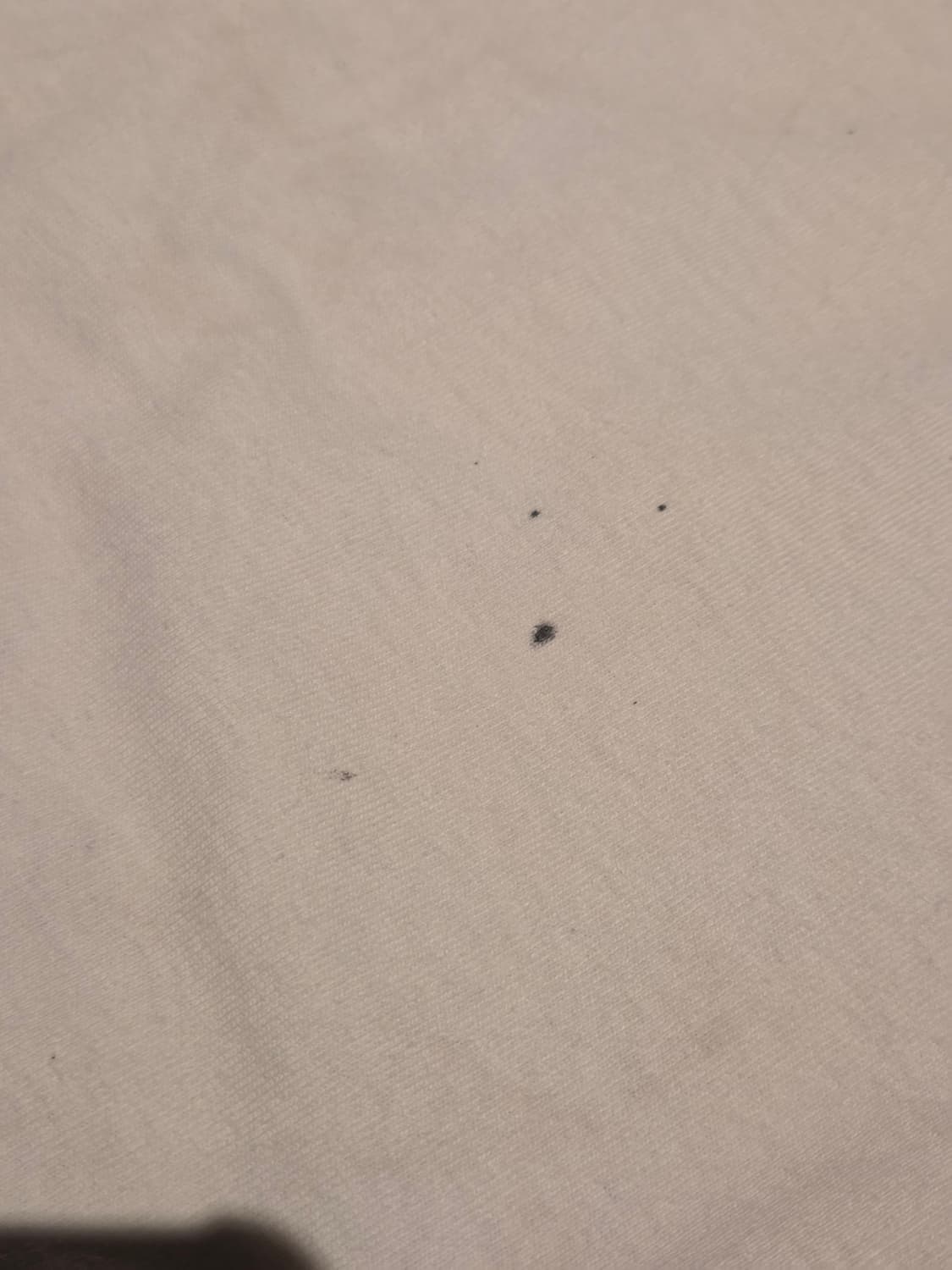 NBC 챔스 트루 게임 체인저 상품이미지4