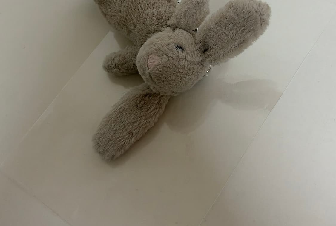 정품) 젤리캣 바쉬풀 버니 백 참 베이지 상품이미지6