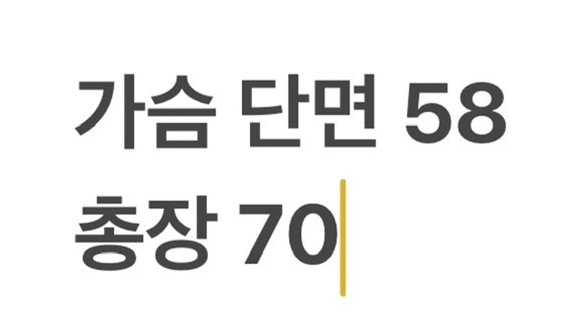 [정품/XL] 내셔널지오그래픽 맨투맨 그레이 b13 상품이미지7