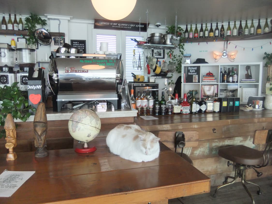 [조이 pick/작례] 후지필름 파인픽스 F80EXR 상품이미지6