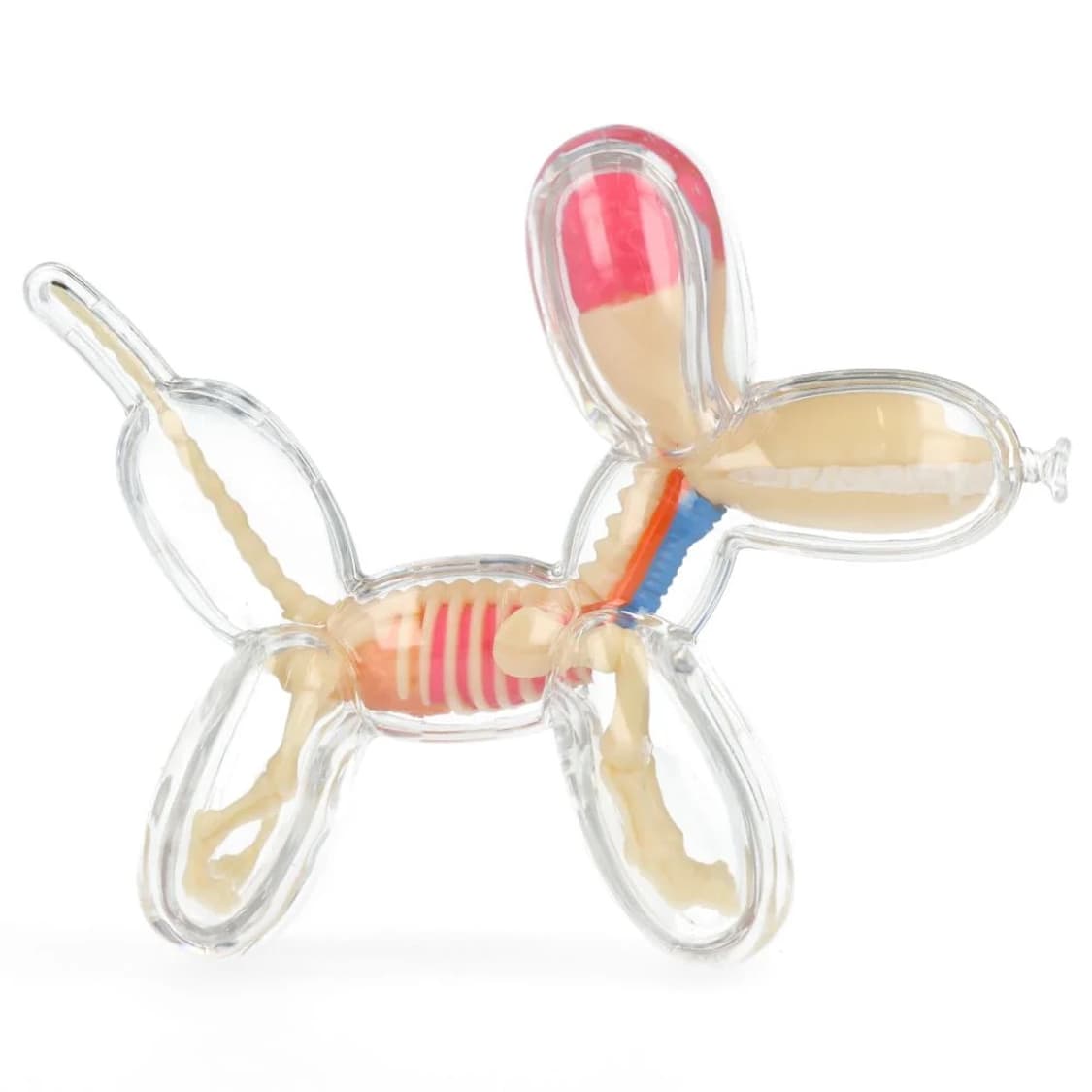 제이슨프리니 제프쿤스 4d마스터 벌룬독 아트토이 라지,스몰 세트 상품이미지2