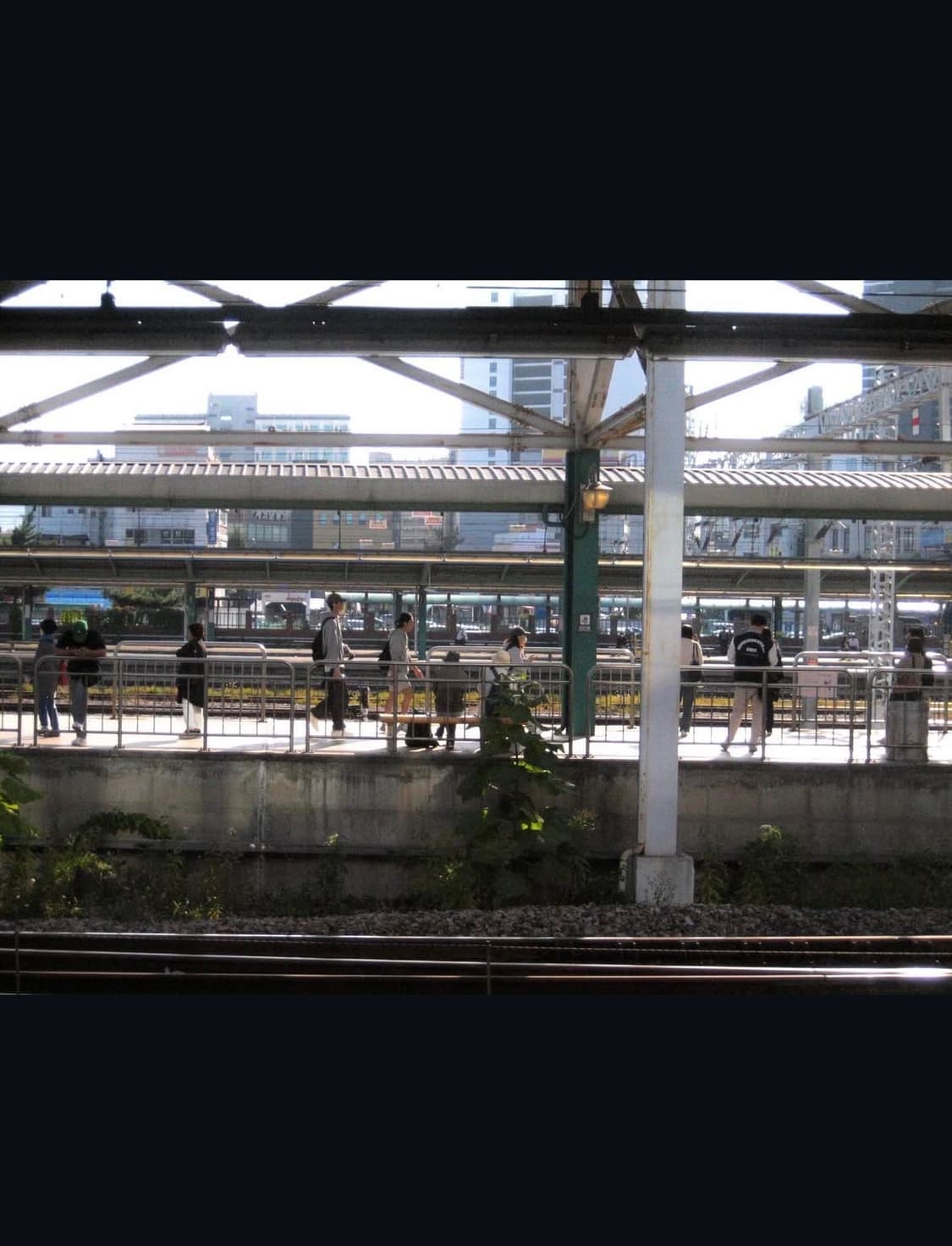 캐논 익서스 55 (파워샷 sd450) 디지털카메라 상품이미지8