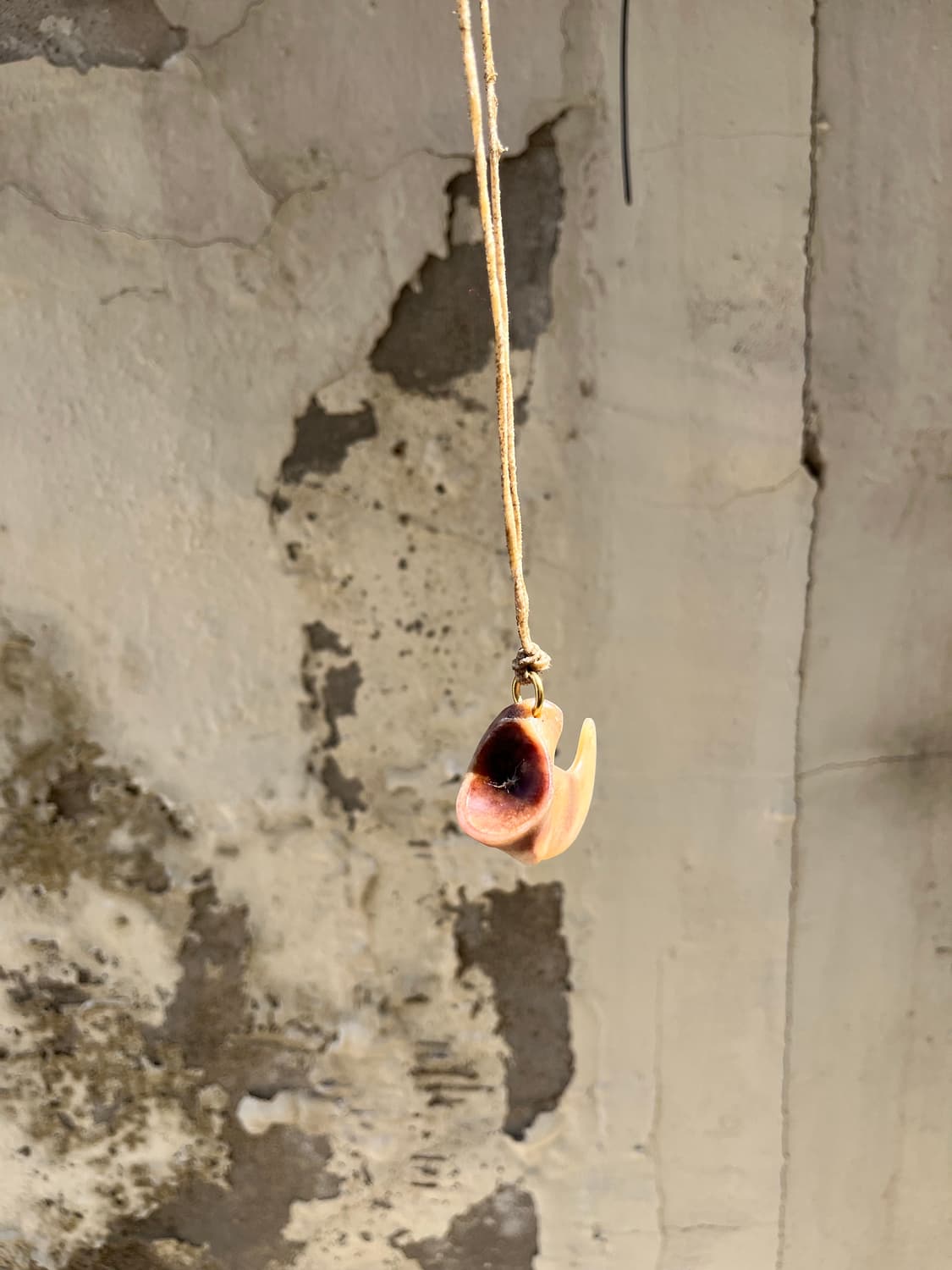 Tiger Claw Necklace 상품이미지4