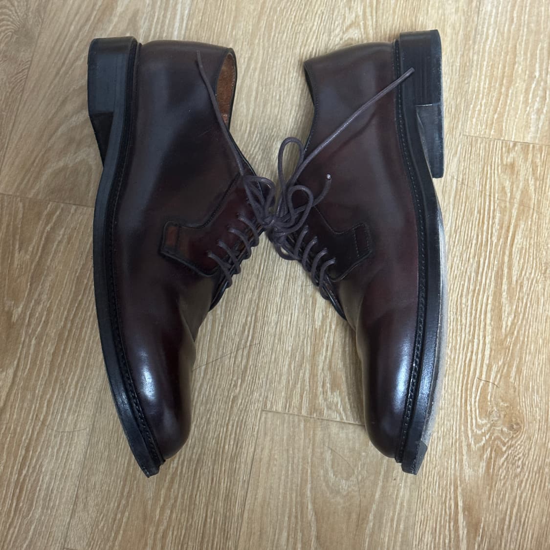[280 mm] 쉘 코도반 조셉트 JUTTA BURGUNDY 상품이미지7
