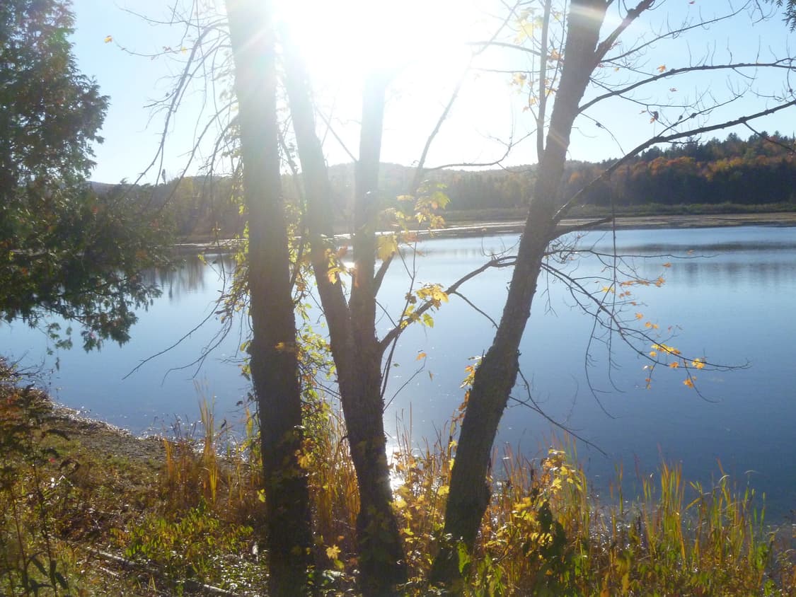 [뽀용&Y2K!] 파나소닉 루믹스 FP3 샴페인골드 디지털카메라 상품이미지9