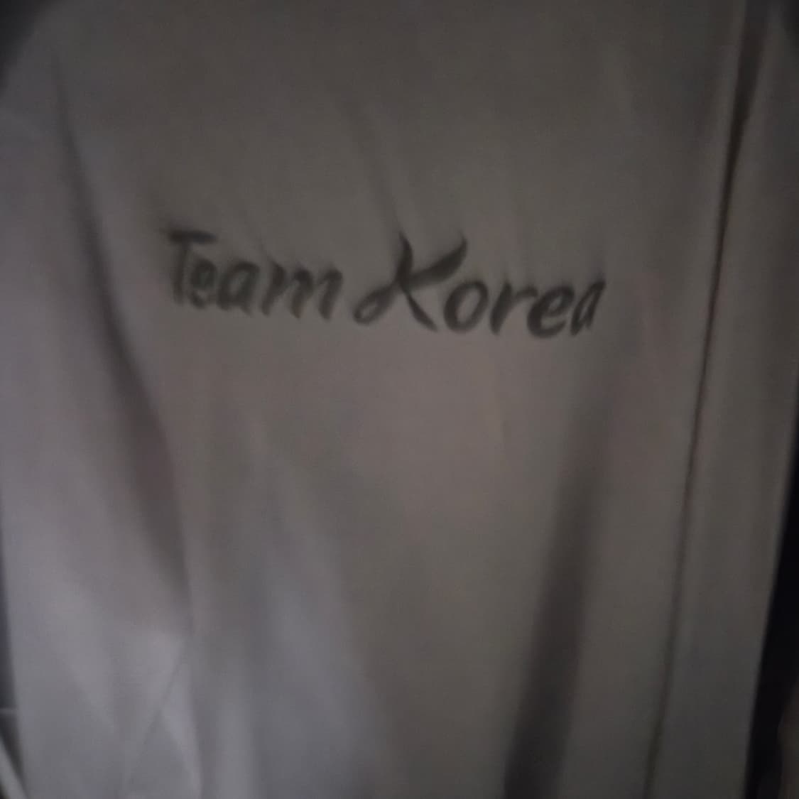 노스페이스 팀코리아 한정판 바람막이(L) 상품이미지2