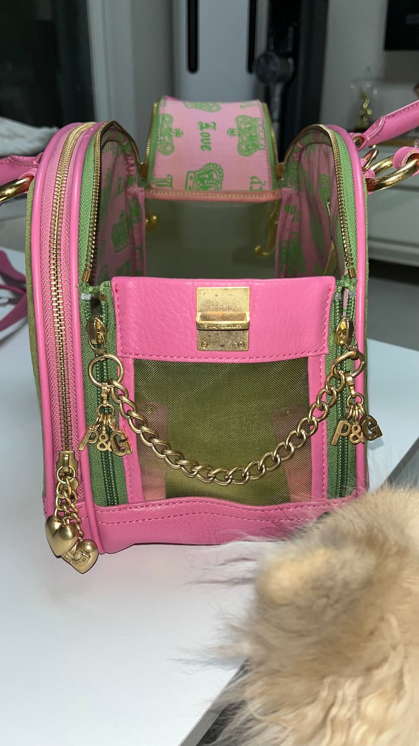 초레어! 쥬시꾸뛰르 가나디 이동가방 상품이미지7