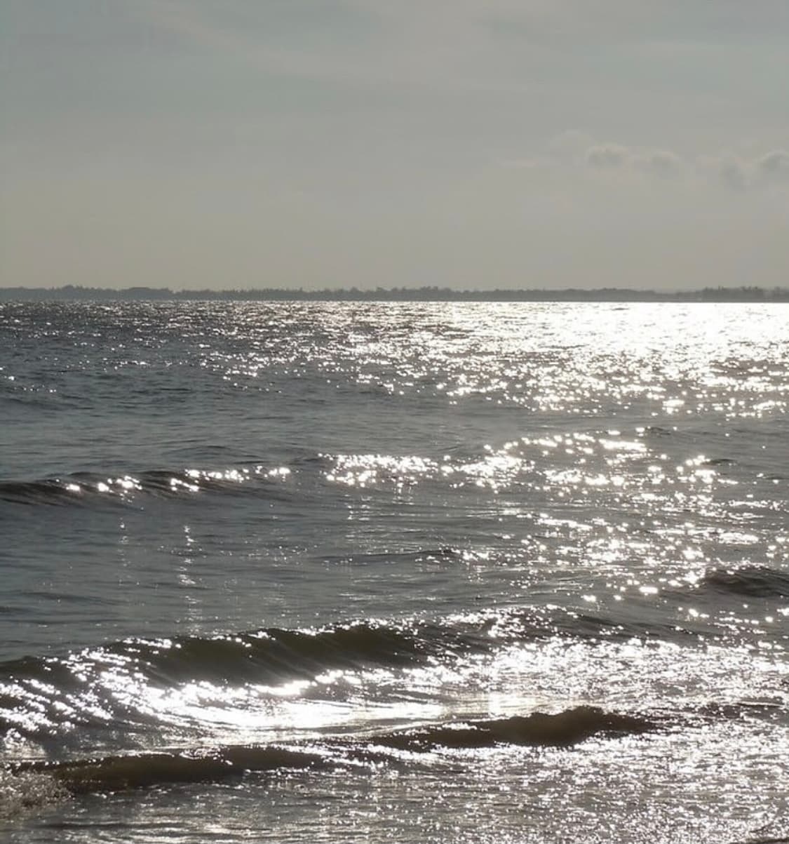 소프트포커스🫧한글디카 🤍 후지필름 파인픽스 Z2000EXR 상품이미지7