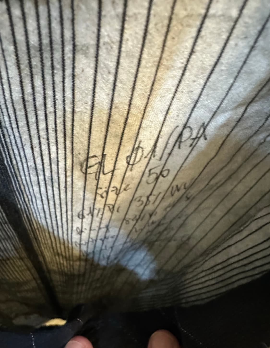 아르키보 베스트 스트라이프 블랙 L 상품이미지4