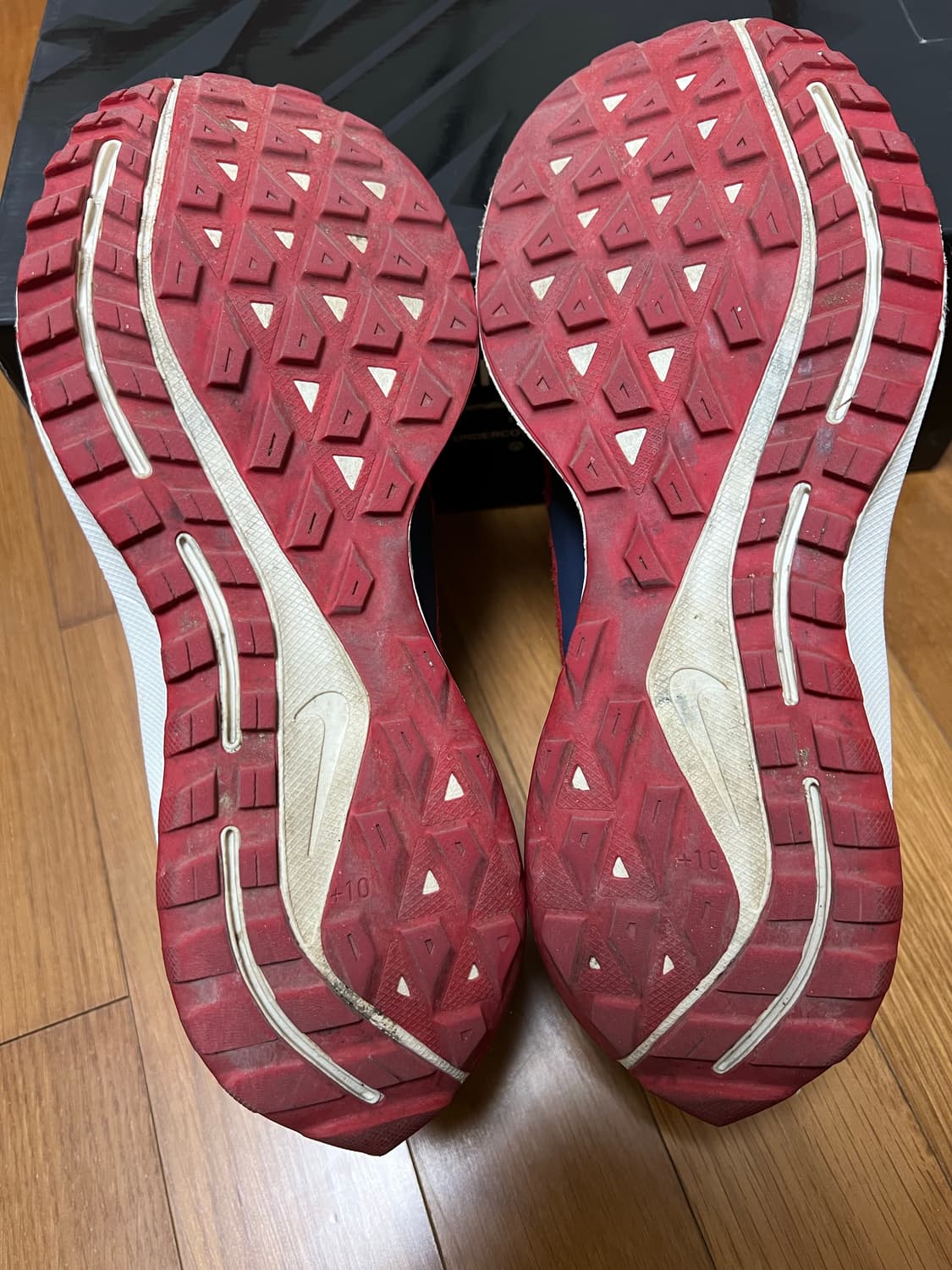 나이키 갸쿠소우 페가수스36 상품이미지9