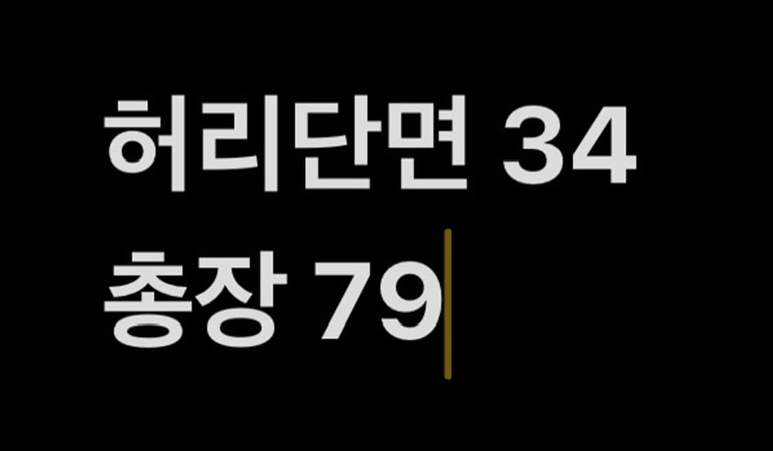 빈티지 레이스 레이어드 스커트 상품이미지5